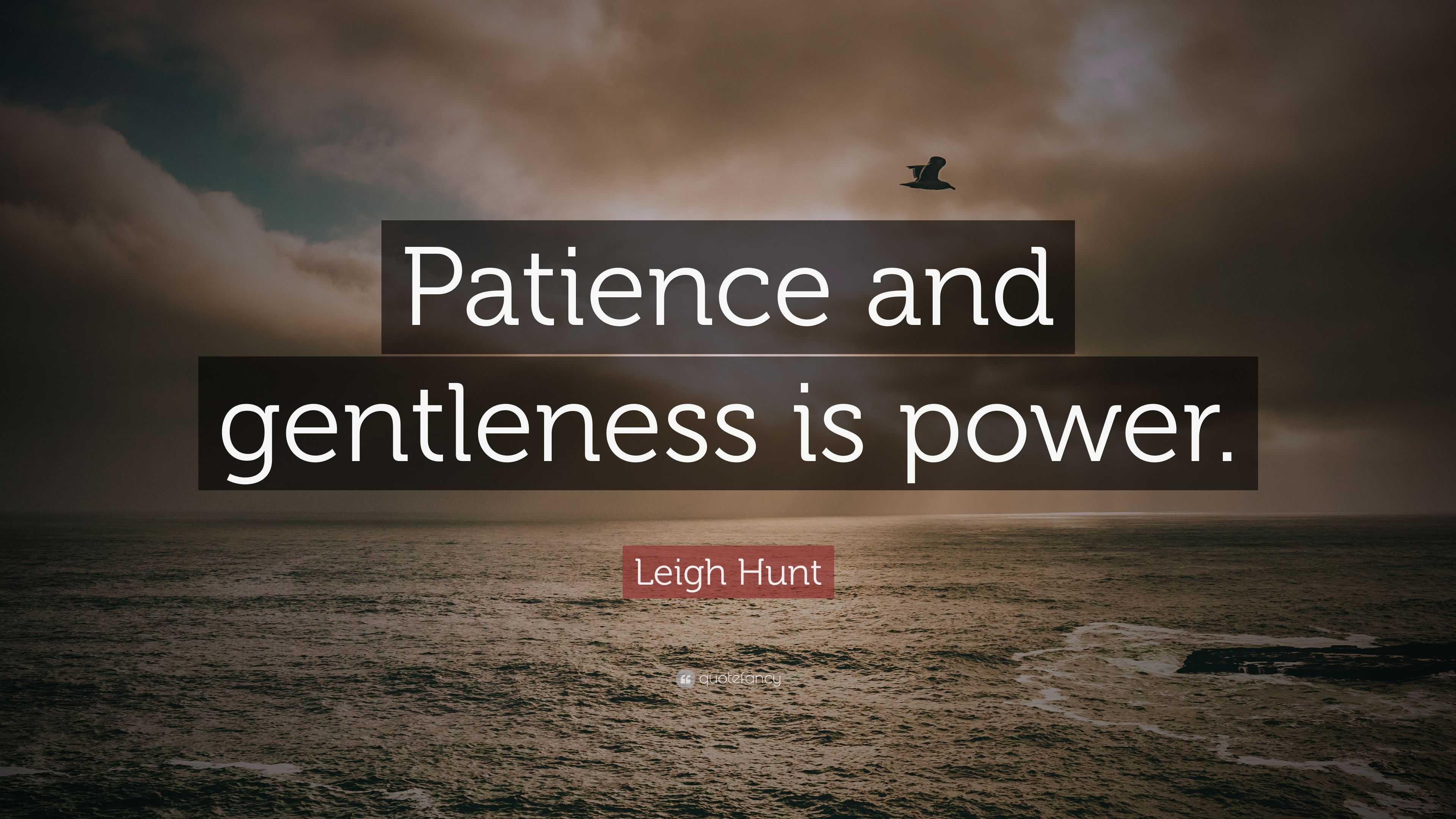 Leigh Hunt Quote: “Patience and gentleness is power.”