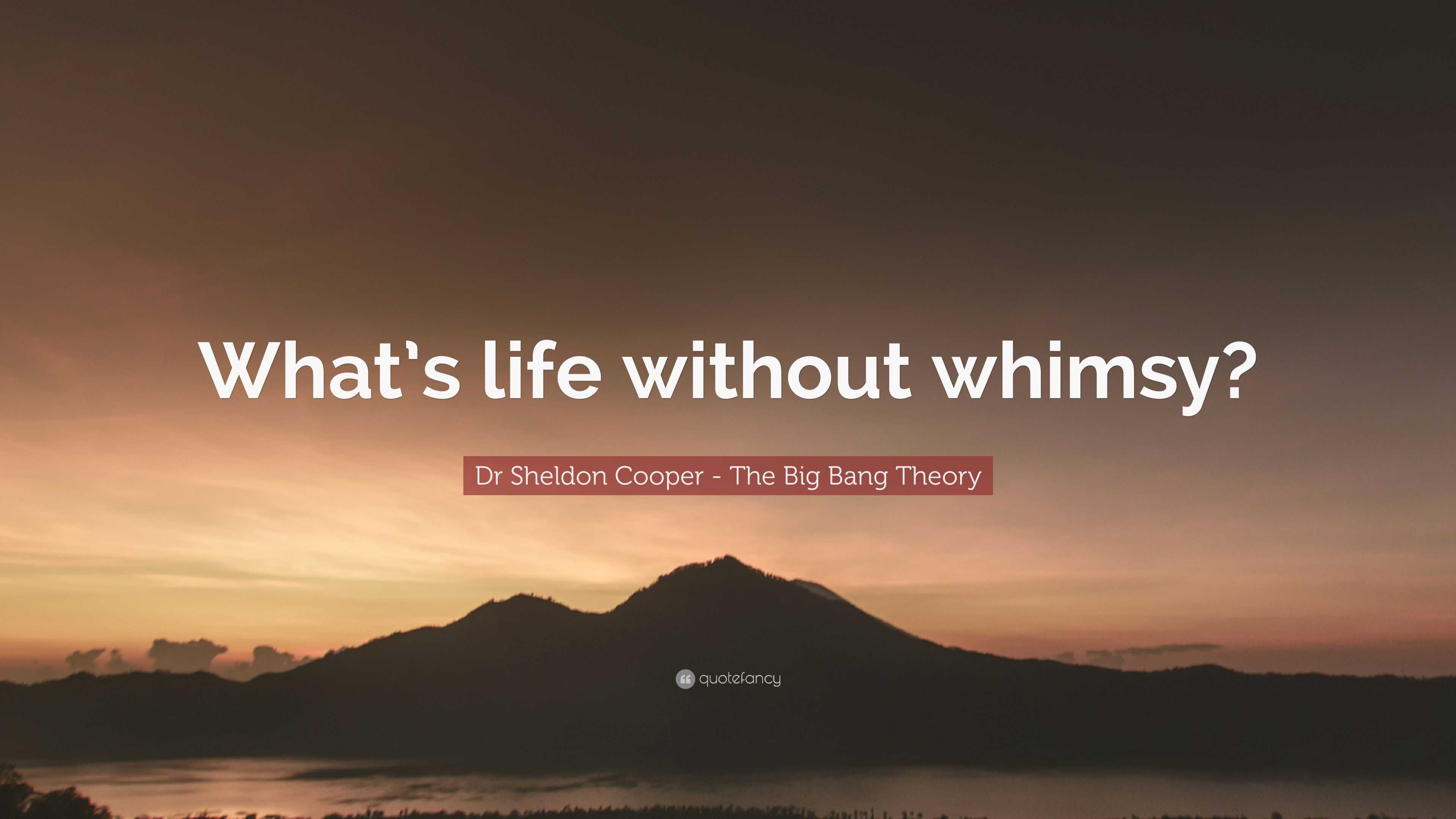 Dr Sheldon Cooper - The Big Bang Theory Quote: “What's life without whimsy?”
