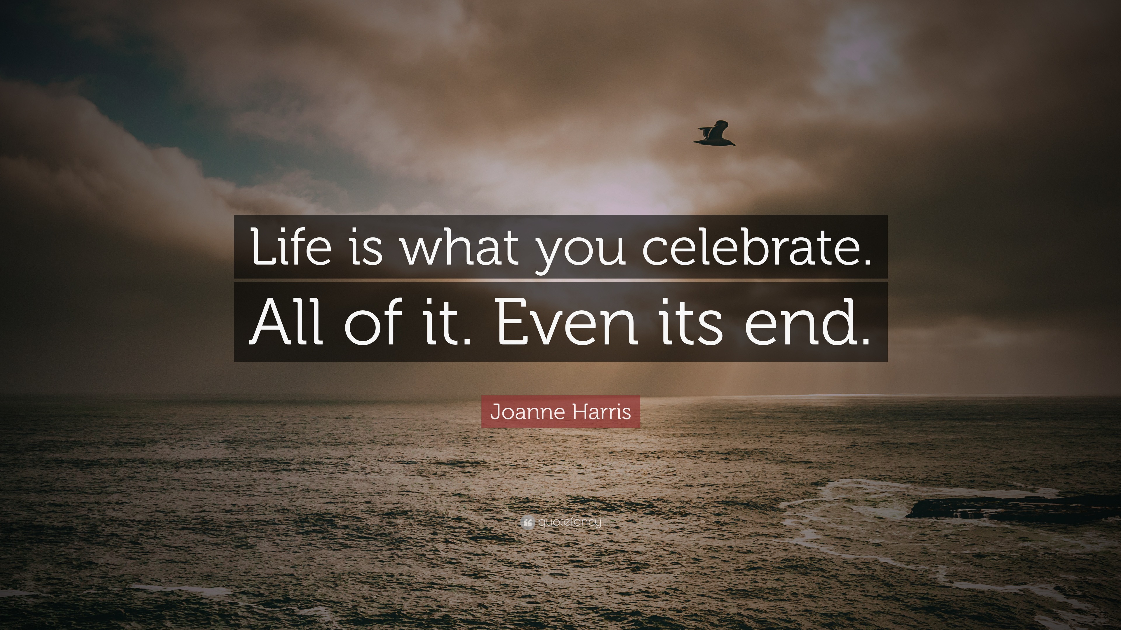 Joanne Harris Quote: “Life is what you celebrate. All of it. Even its