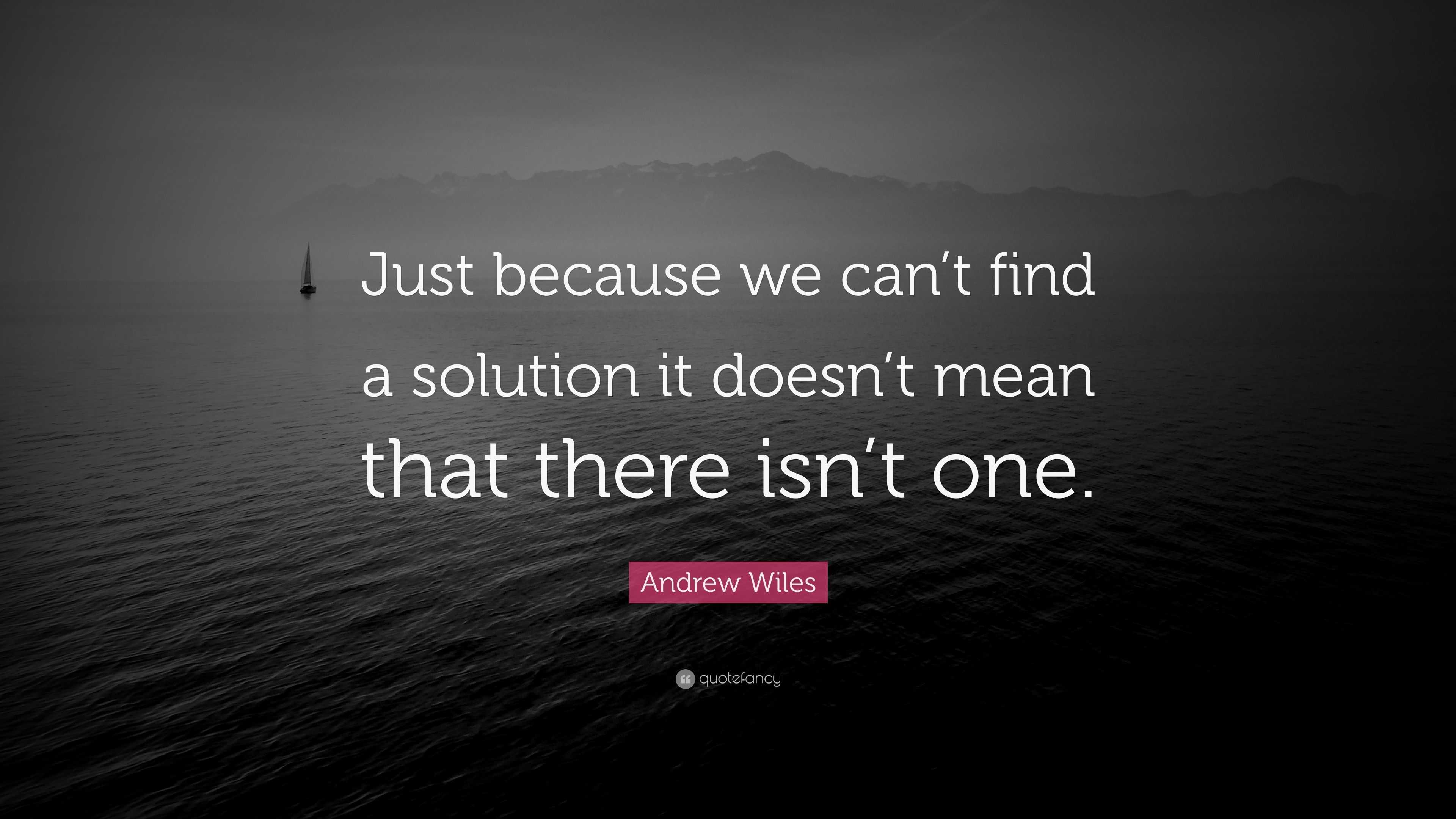 Andrew Wiles Quote: “Just because we can’t find a solution it doesn’t