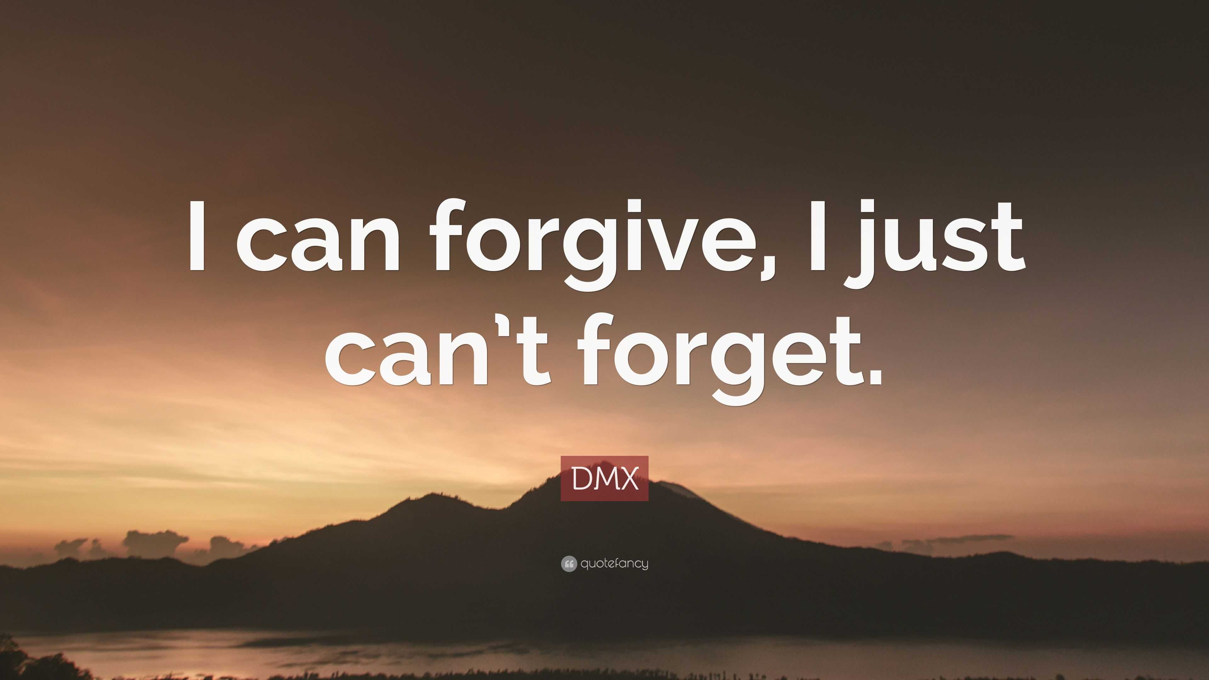 Forgiving What You Can T Forget Quotes