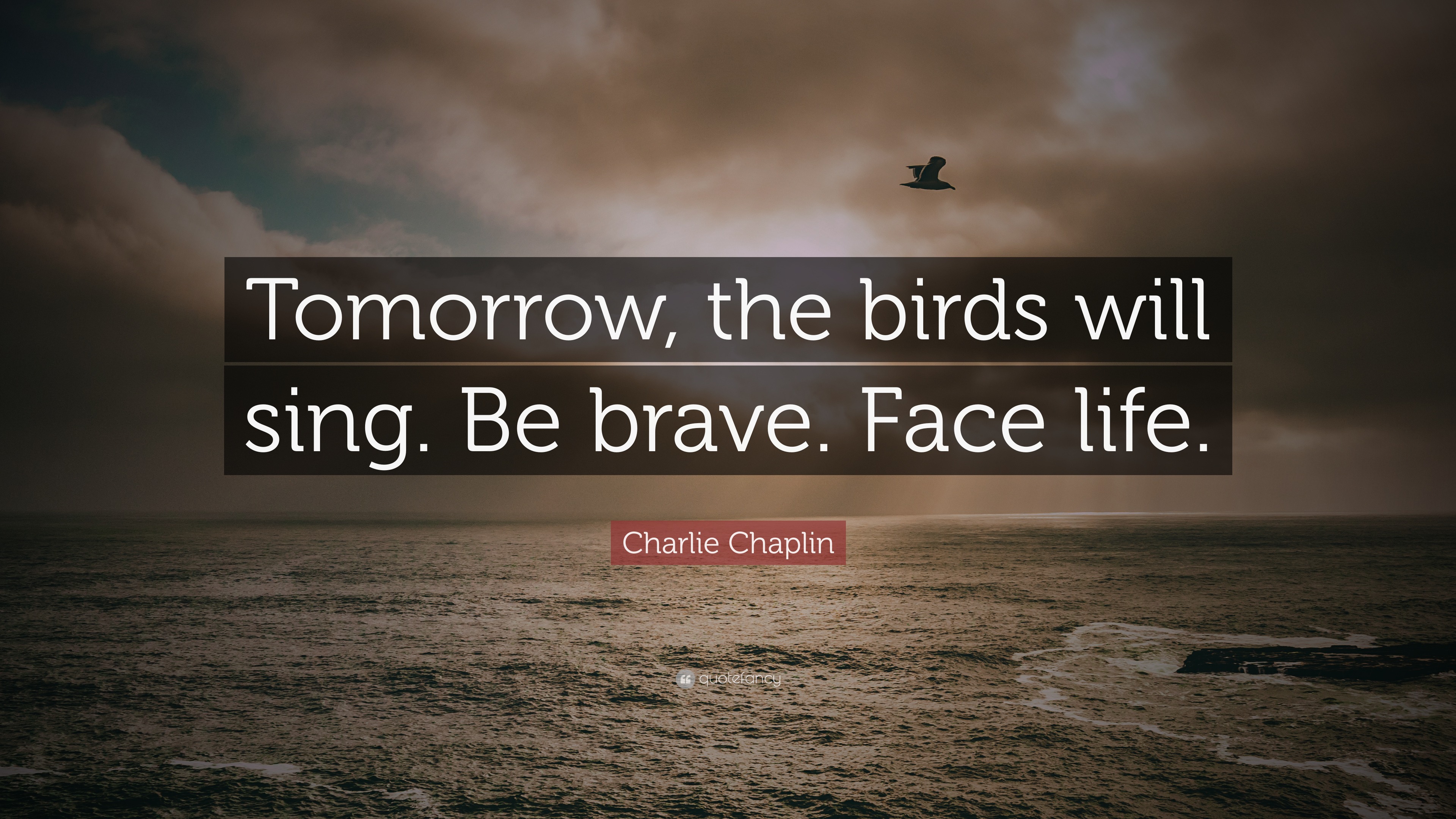 Charlie Chaplin Quote Tomorrow The Birds Will Sing Be Brave Face Life