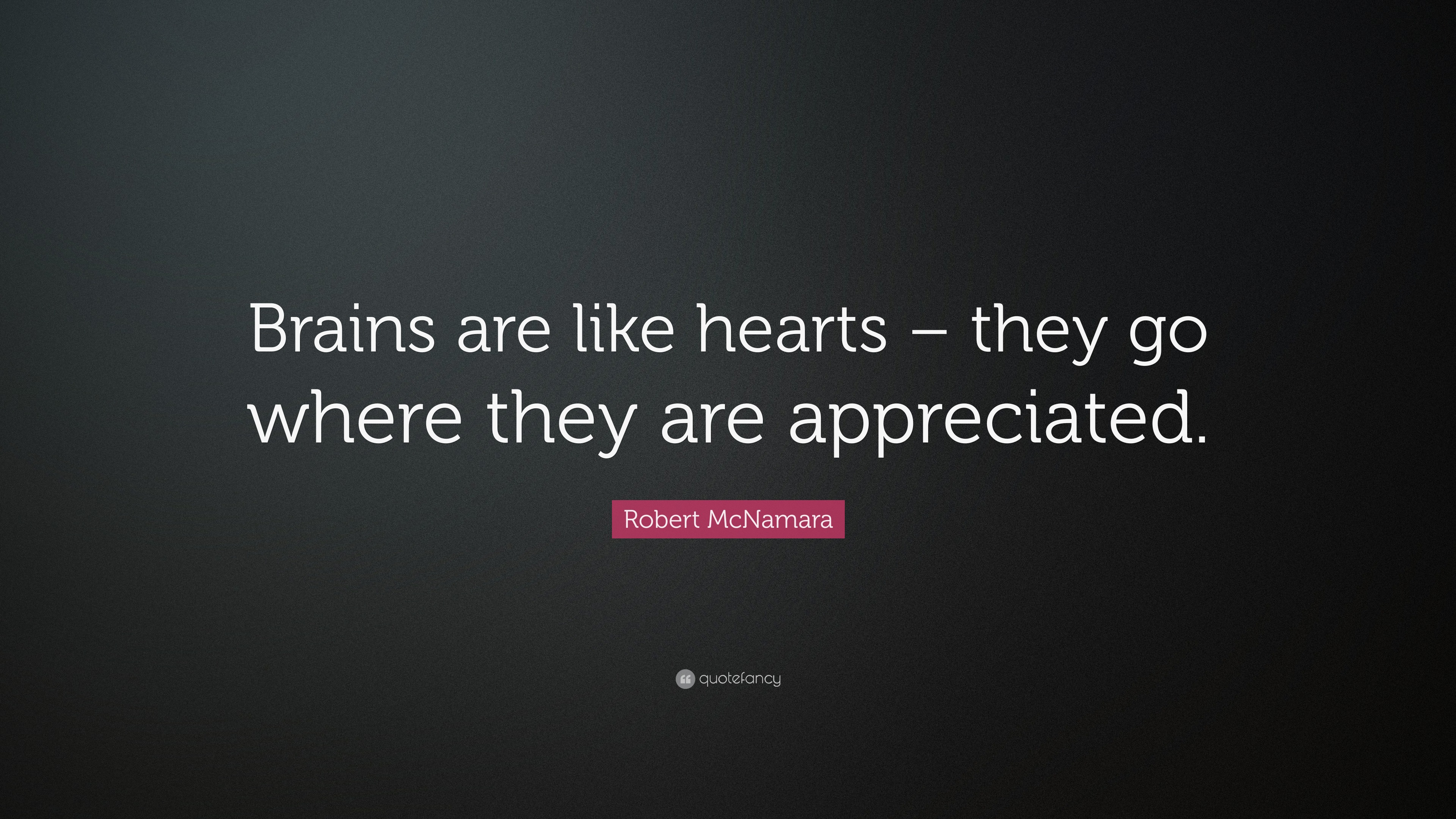 Brains like hearts go where they are appreciated essay picture