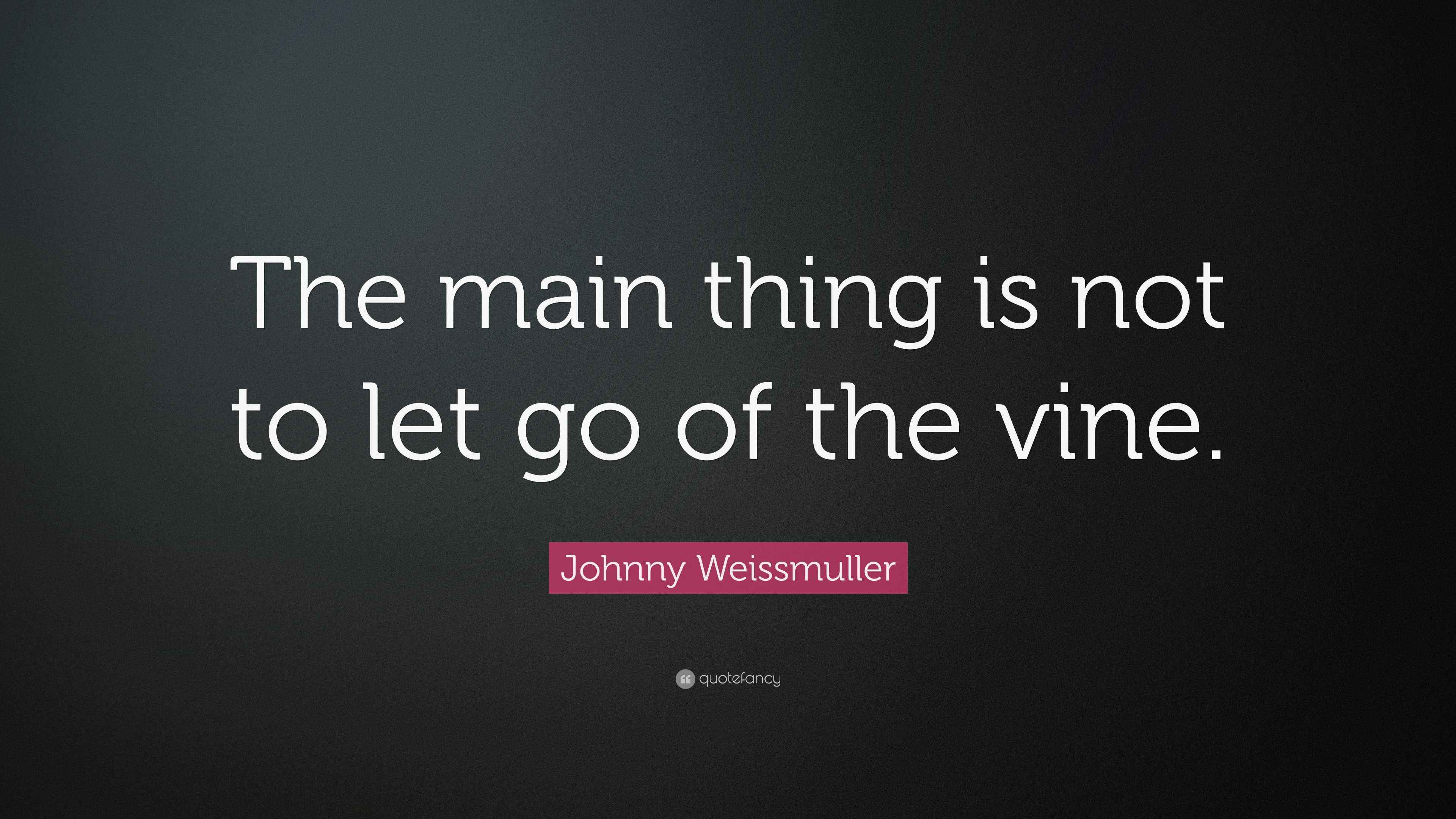 johnny-weissmuller-quote-the-main-thing-is-not-to-let-go-of-the-vine