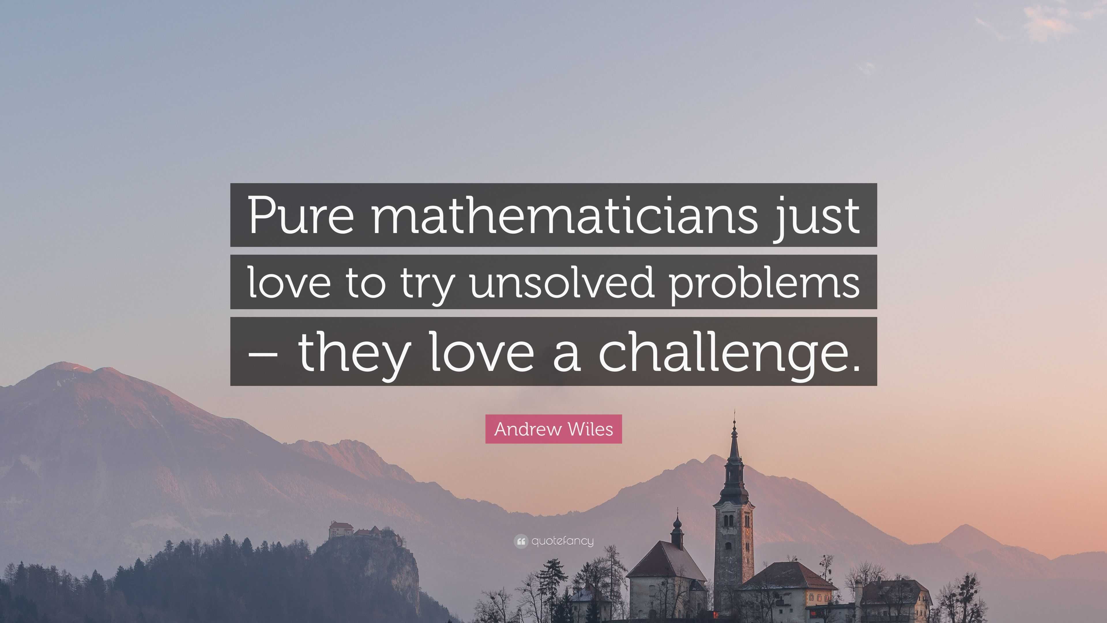 Andrew Wiles Quote “Pure mathematicians just love to try