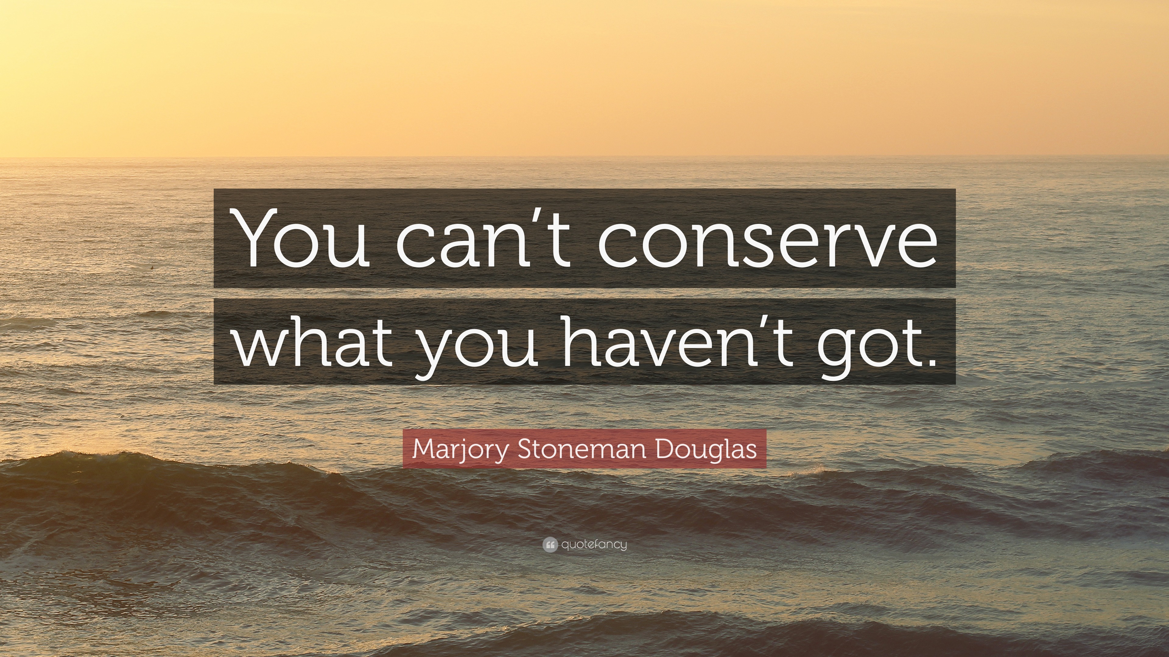 Marjory Stoneman Douglas Quote: “You can’t conserve what you haven’t got.”