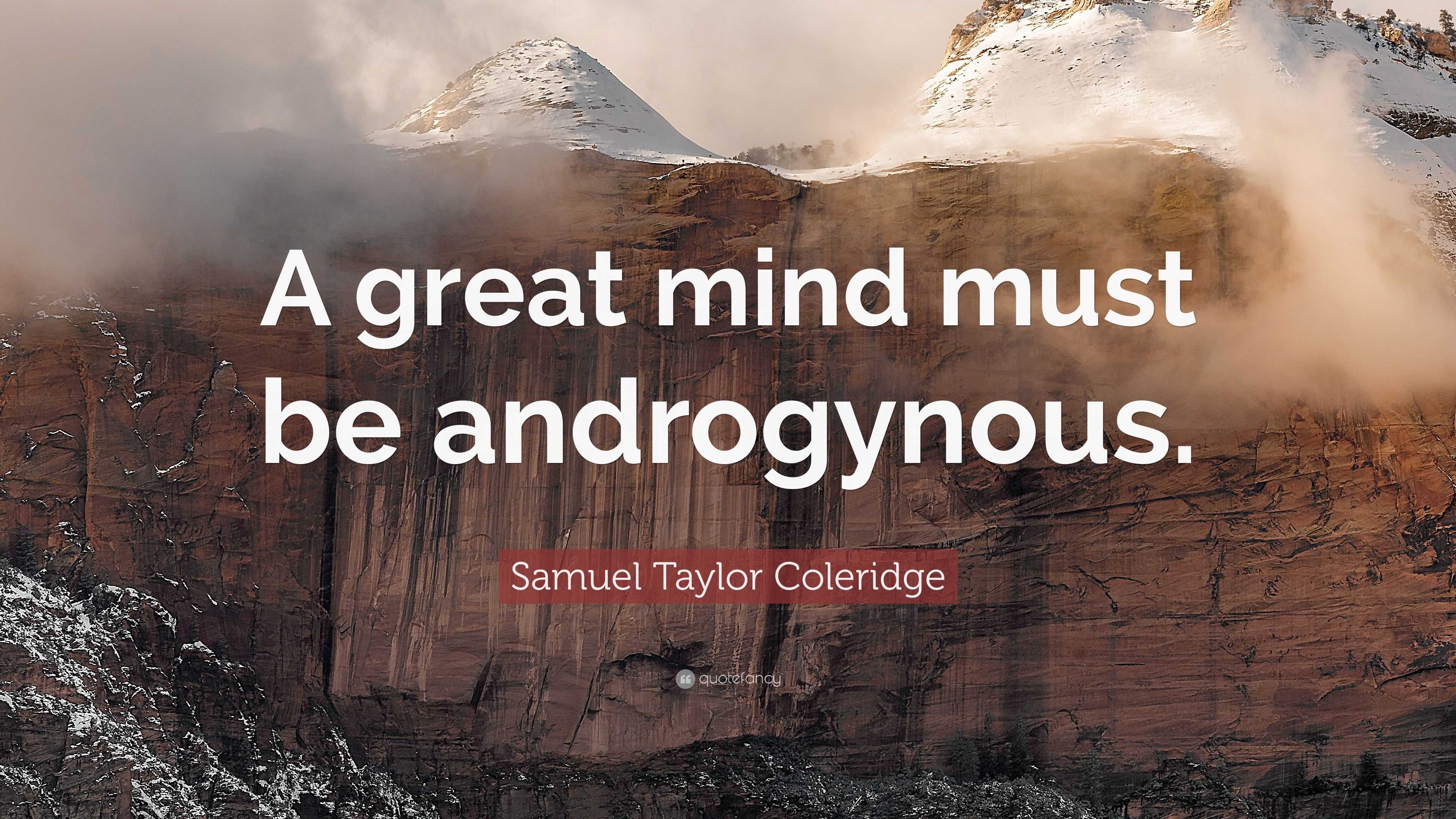 Samuel Taylor Coleridge Quote “A great mind must be androgynous.”