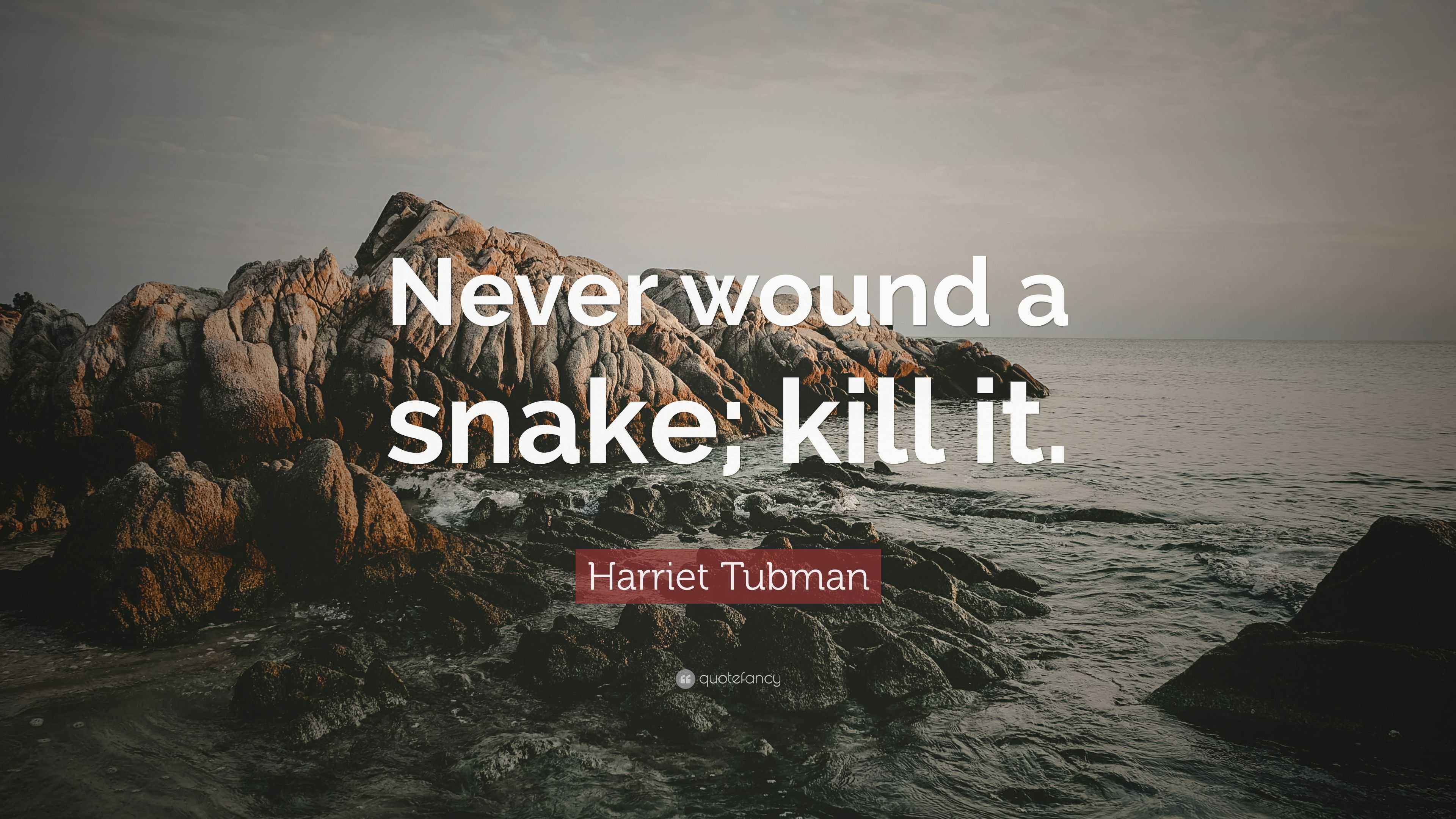 Harriet Tubman Quote “Never wound a snake; kill it.”