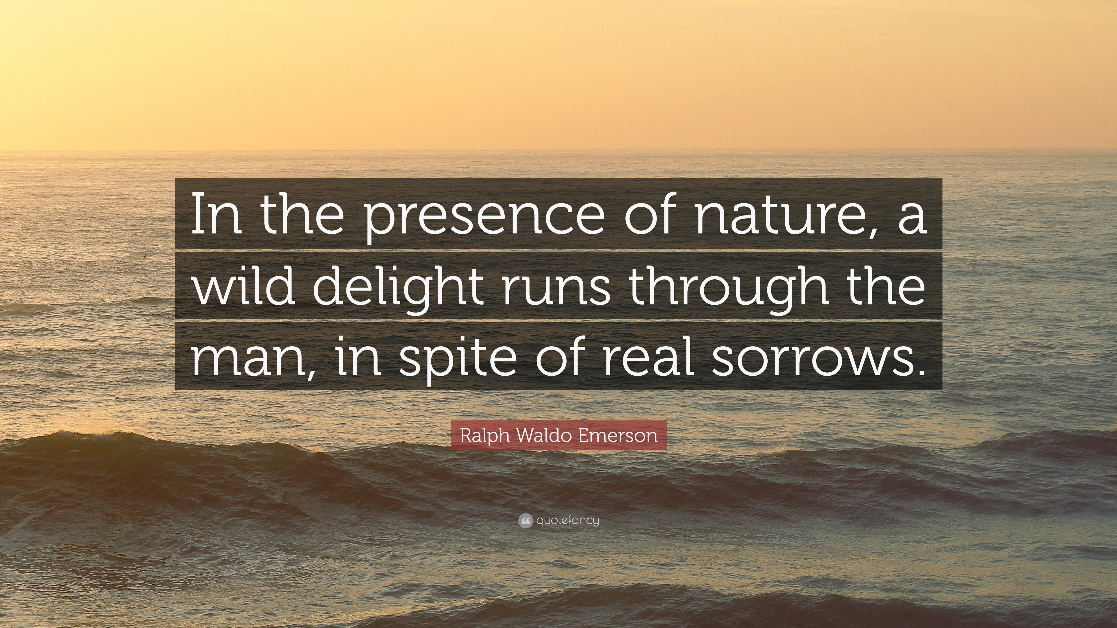 Ralph Waldo Emerson Quote: “In the presence of nature, a wild delight ...