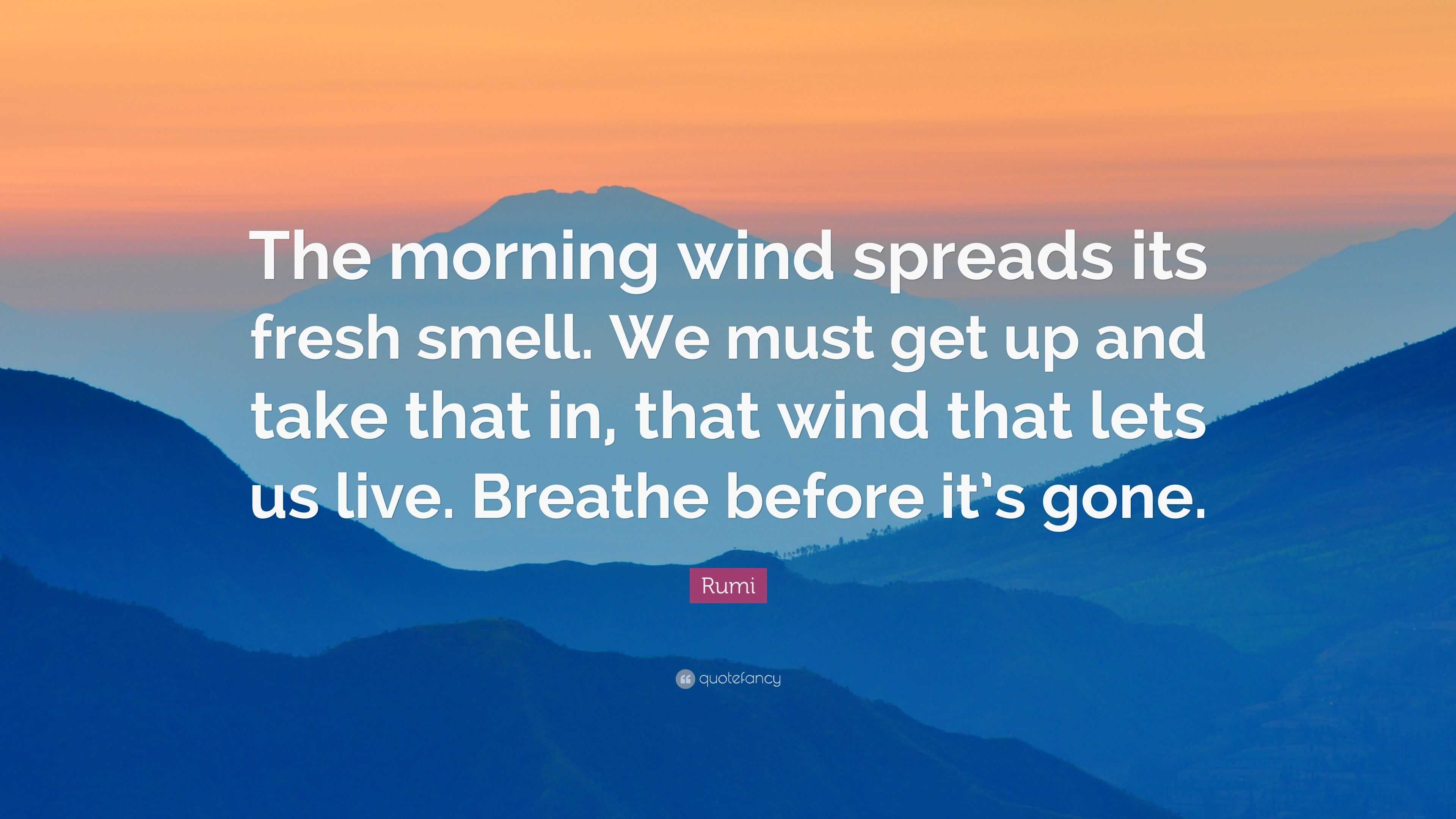 Rumi Quote: “The morning wind spreads its fresh smell. We must get up ...