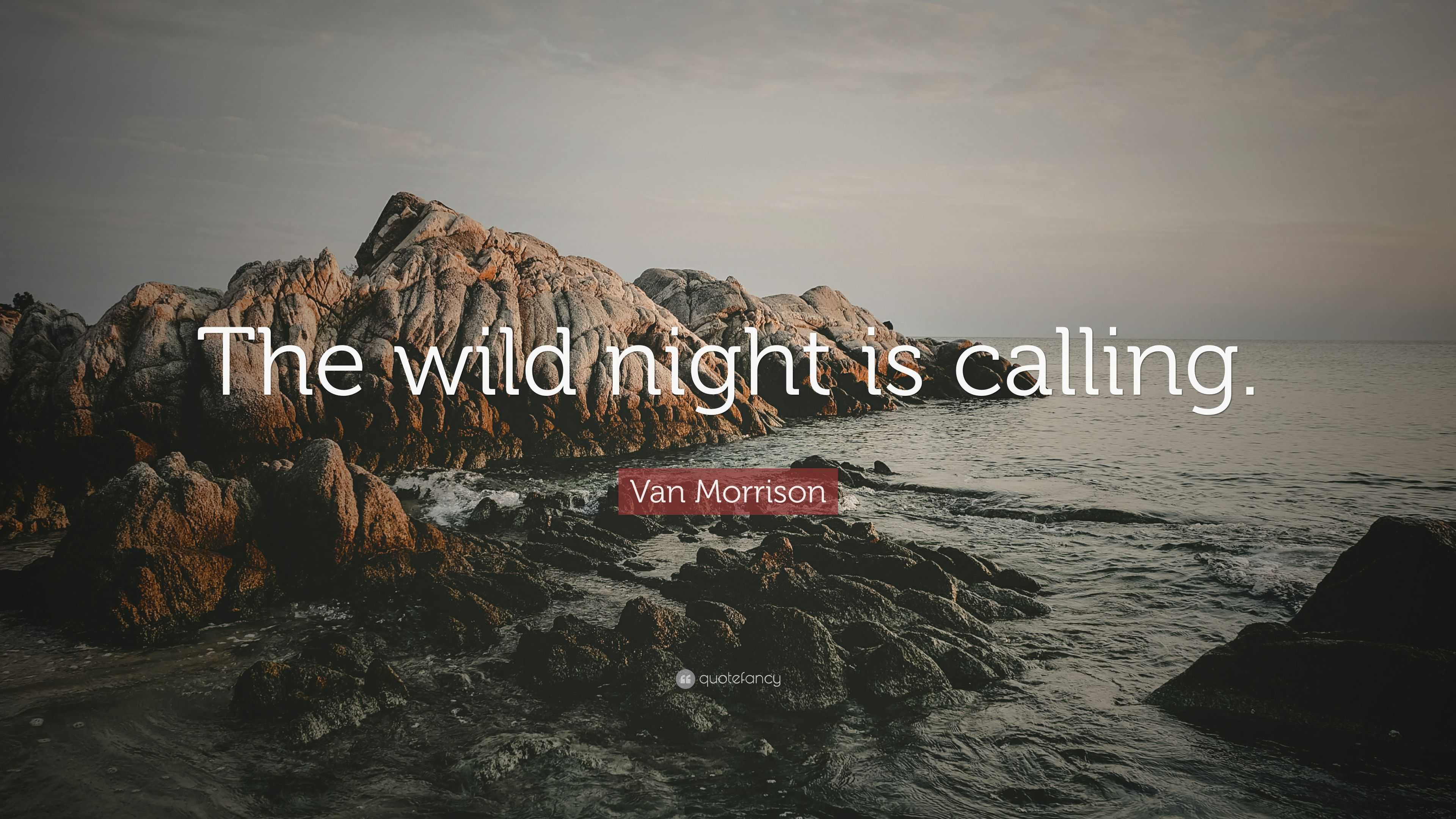 wild at heart calling quote