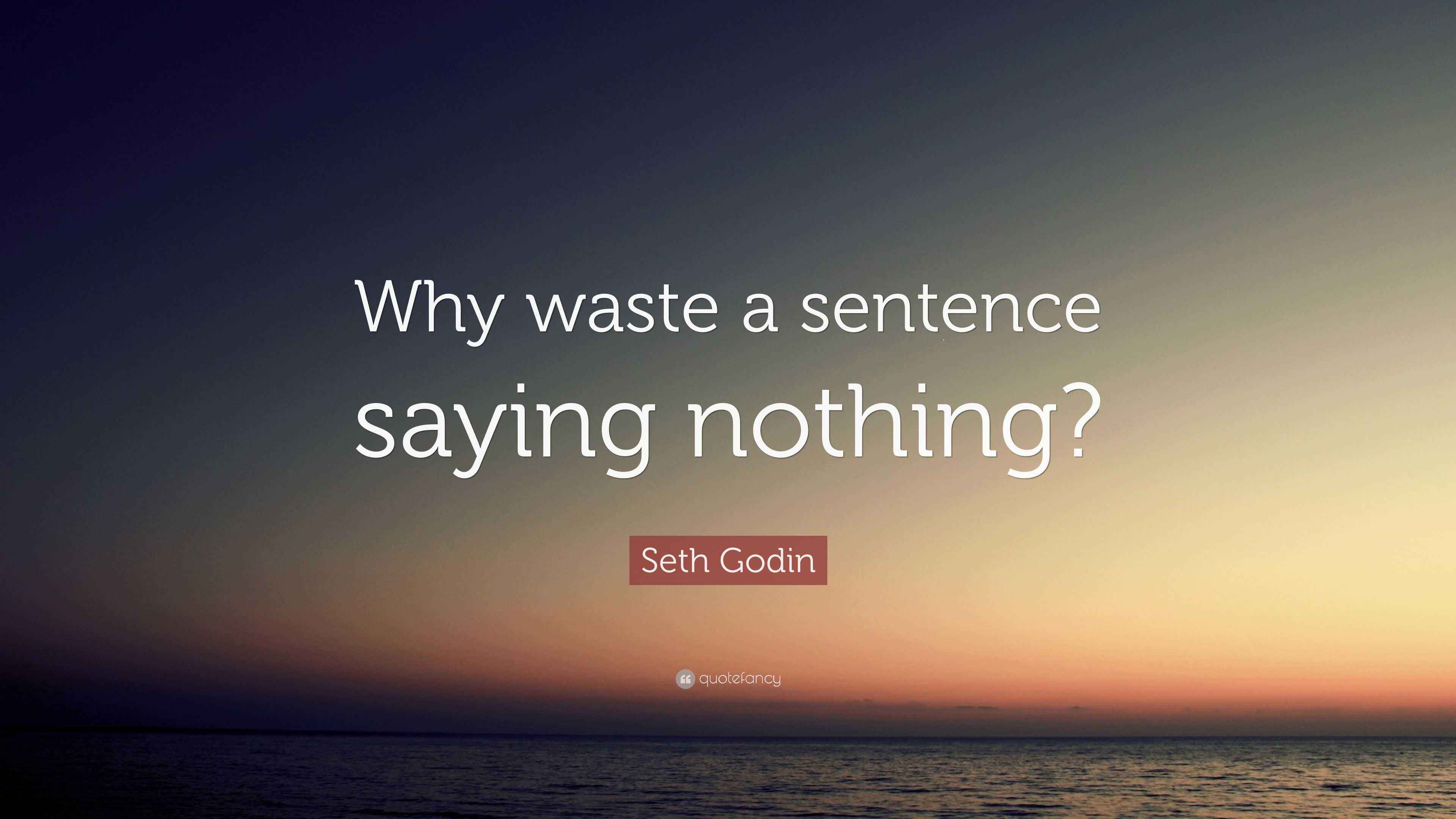 Seth Godin Quote “Why waste a sentence saying nothing?”