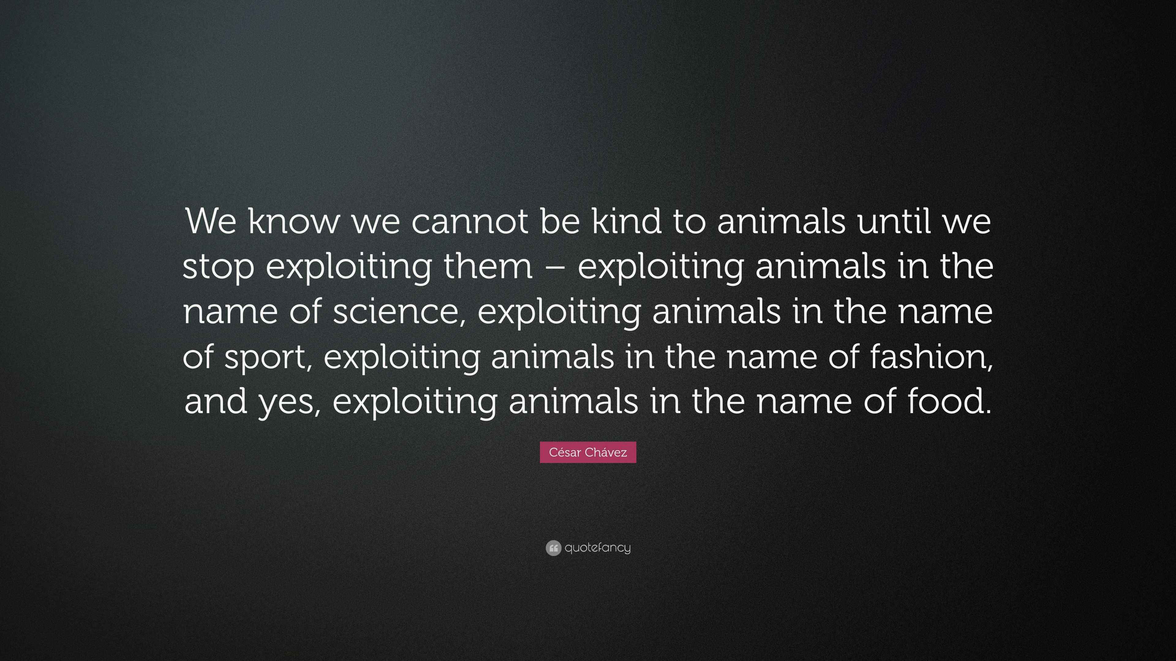 César Chávez Quote: “We know we cannot be kind to animals until we stop ...
