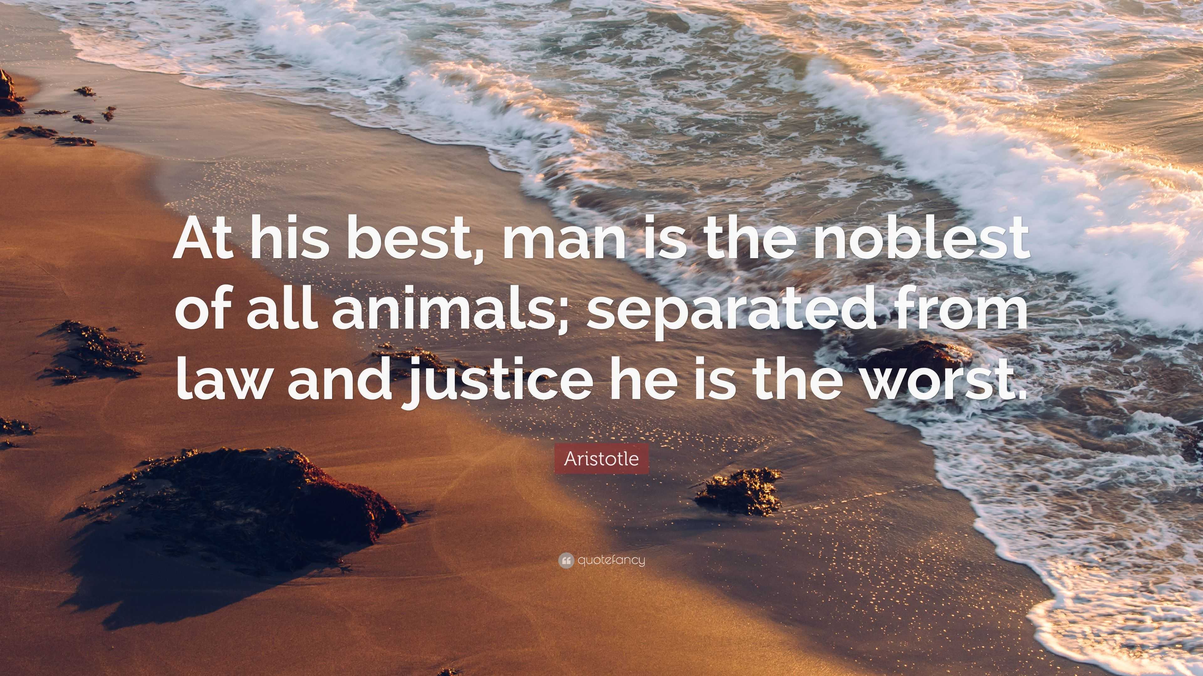 Aristotle Quote “At his best, man is the noblest of all