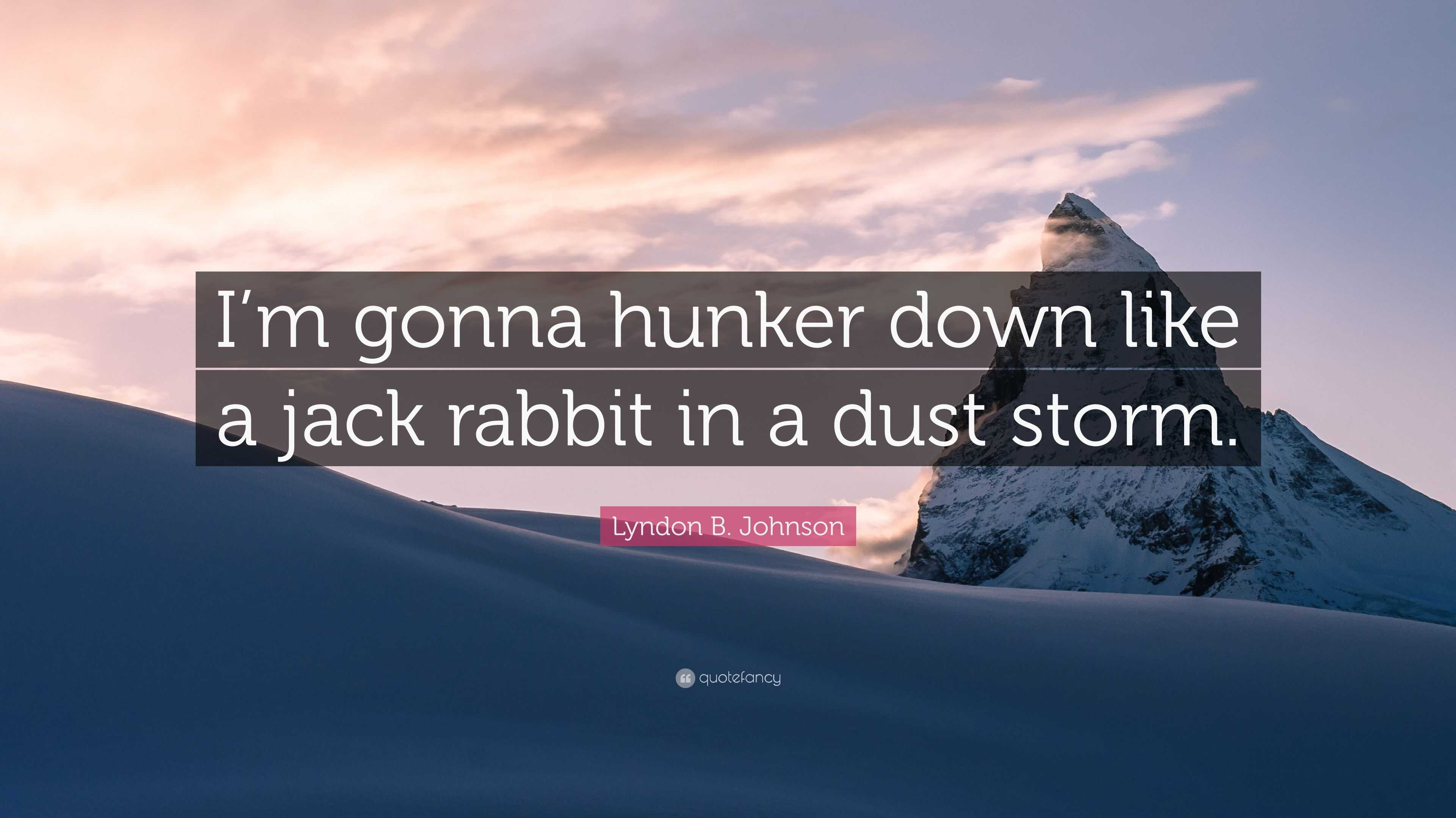 Lyndon B. Johnson Quote: “I’m gonna hunker down like a jack rabbit in a ...