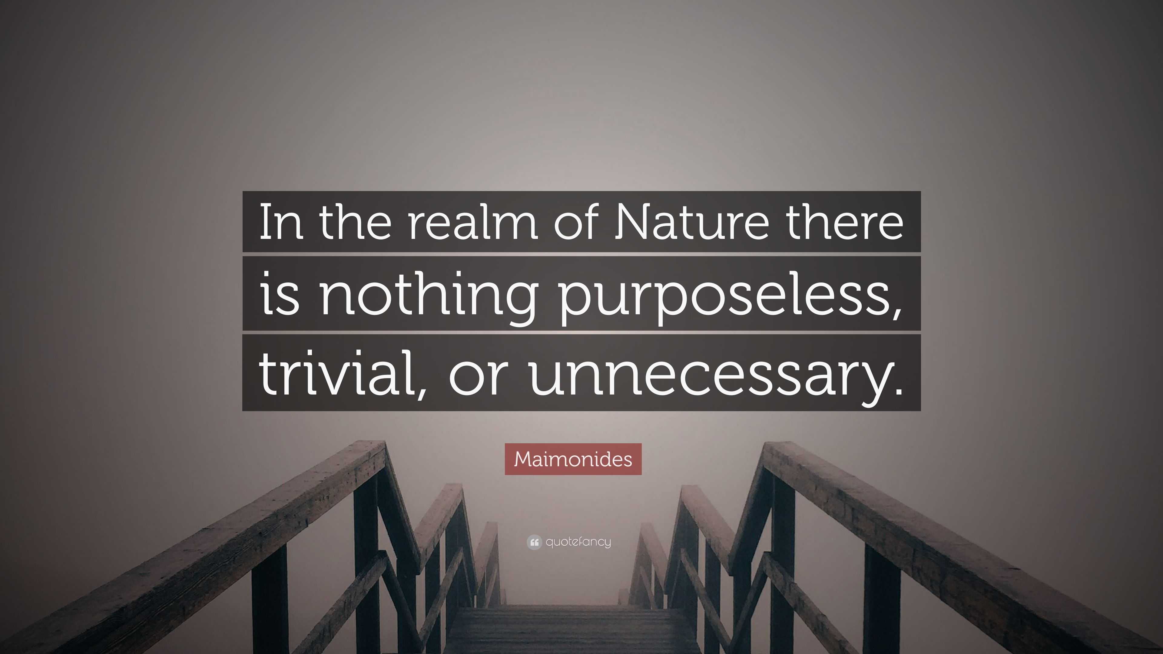 Maimonides Quote: “In the realm of Nature there is nothing purposeless ...