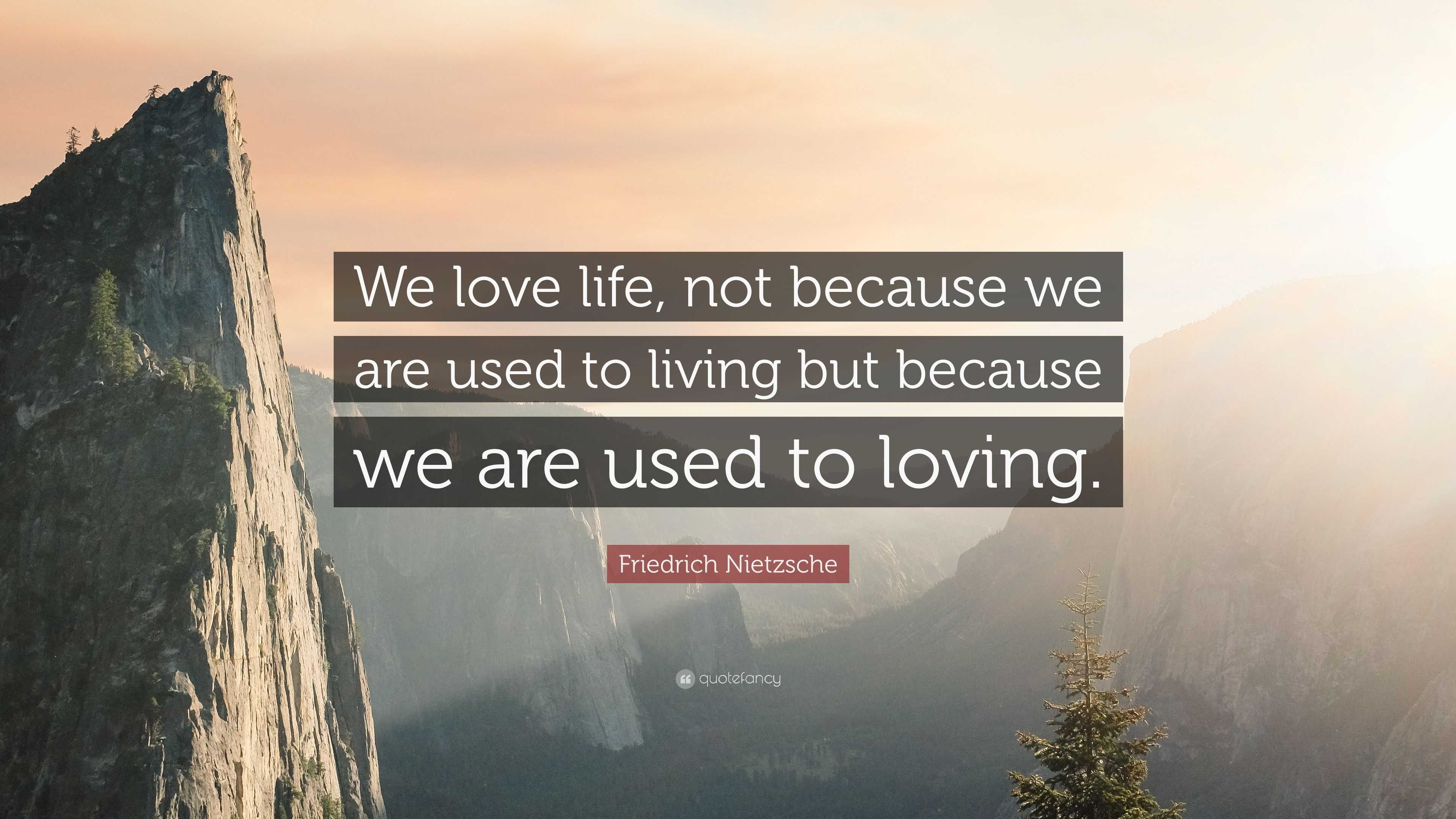 Friedrich Nietzsche Quote “We love life not because we are used to living