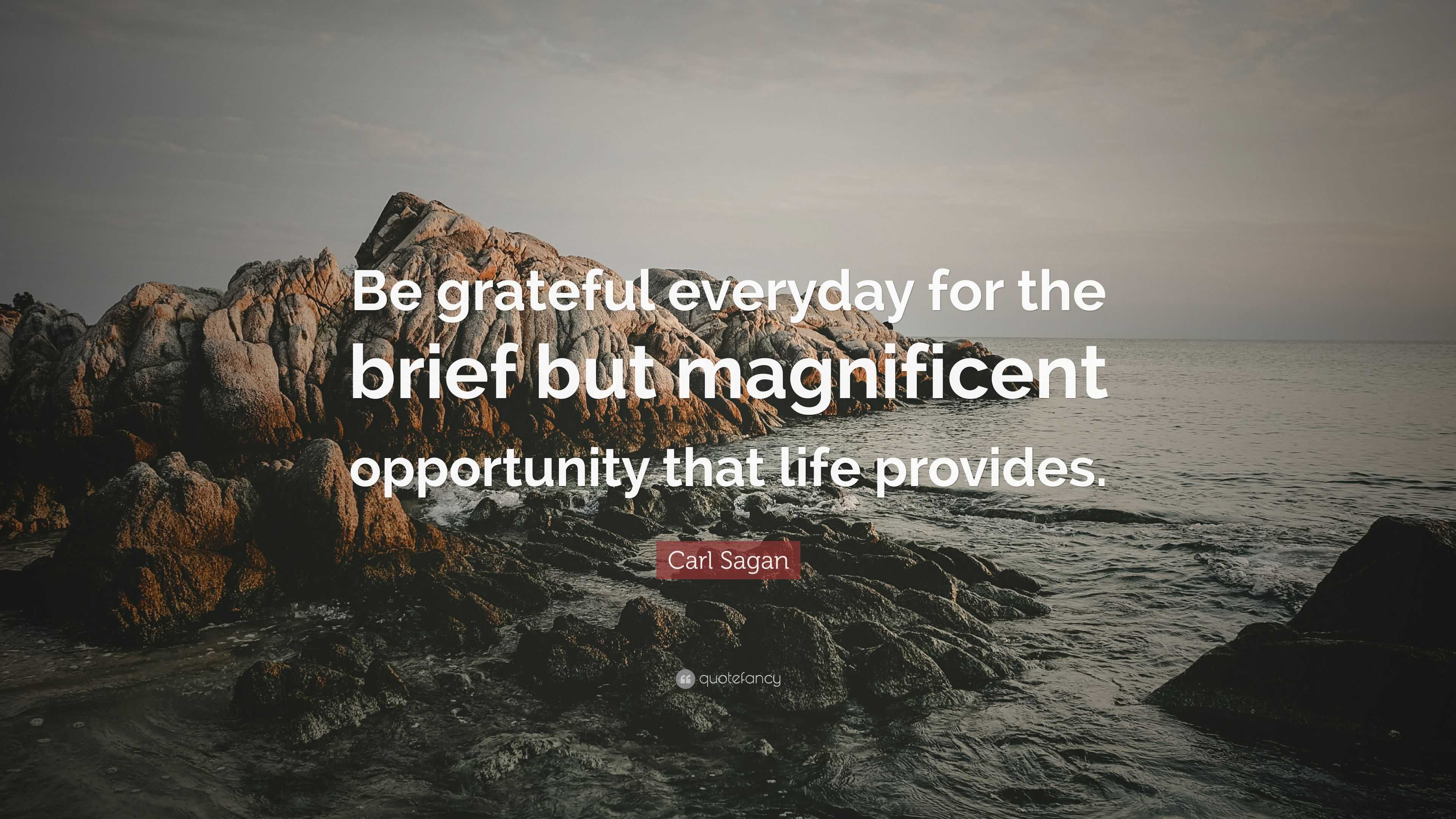 Carl Sagan Quote: “Be grateful everyday for the brief but magnificent ...