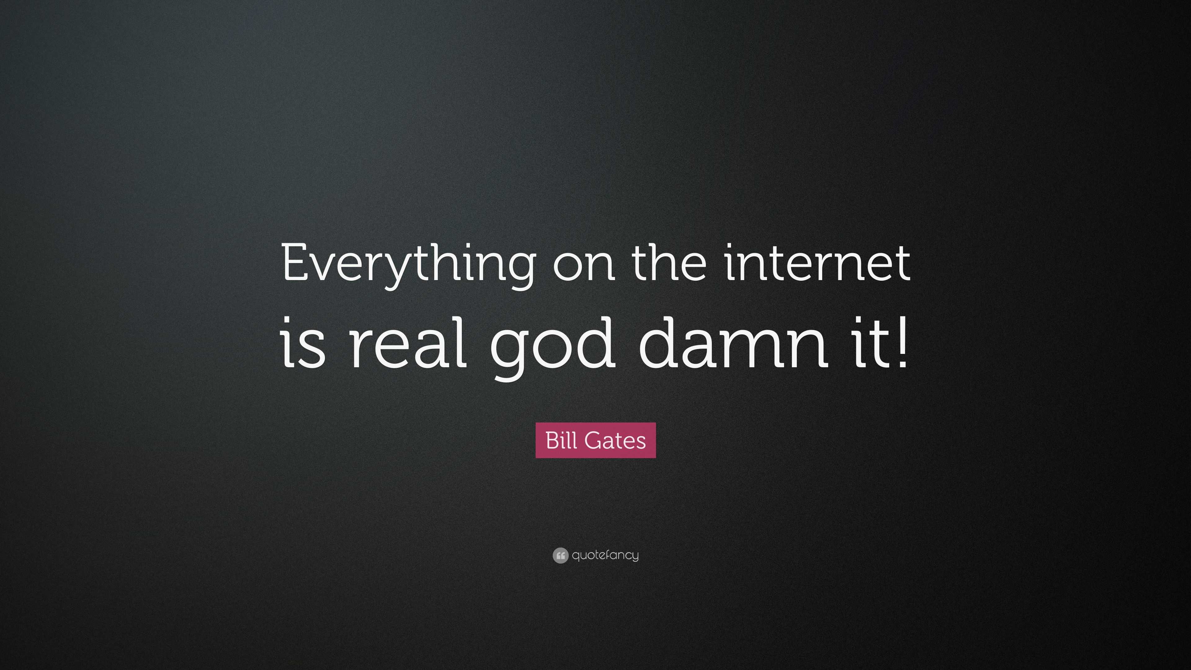 Bill Gates Quote Everything On The Internet Is Real God Damn It 