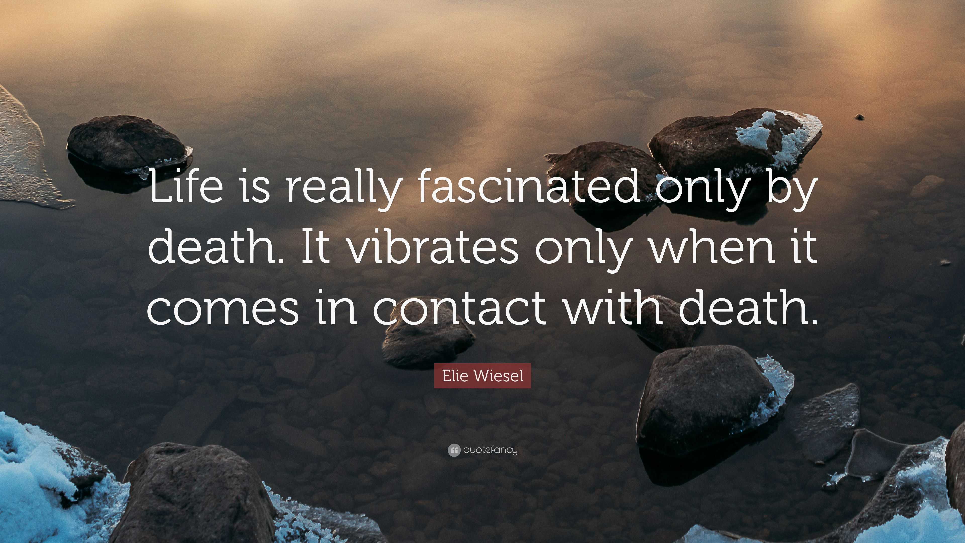 Elie Wiesel Quote: “Life is really fascinated only by death. It ...