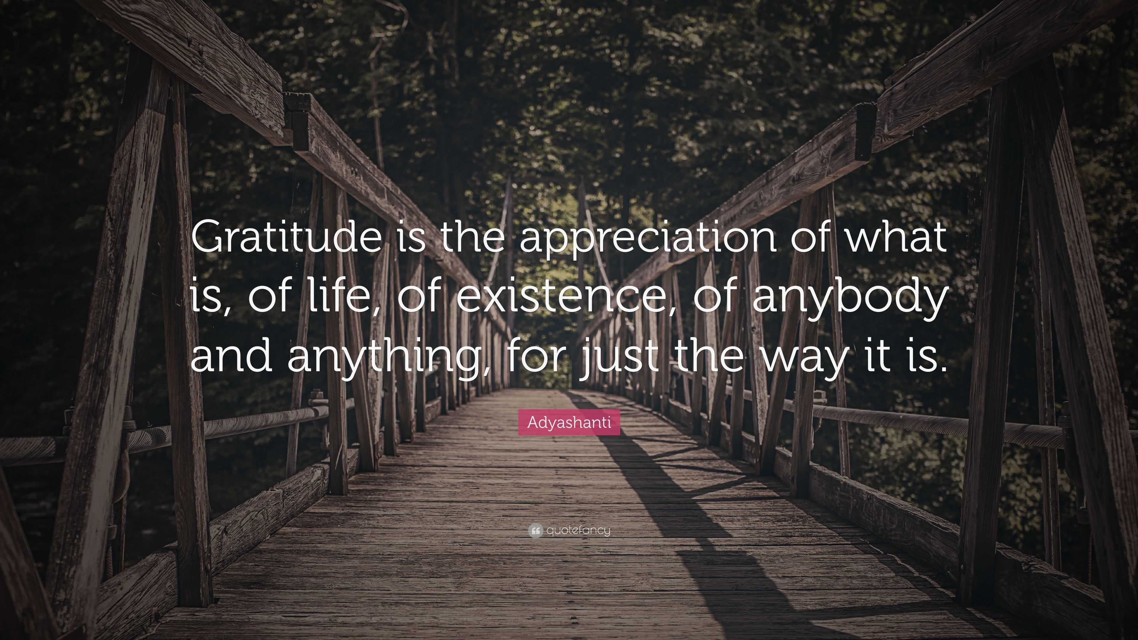 Adyashanti Quote: “Gratitude is the appreciation of what is, of life ...