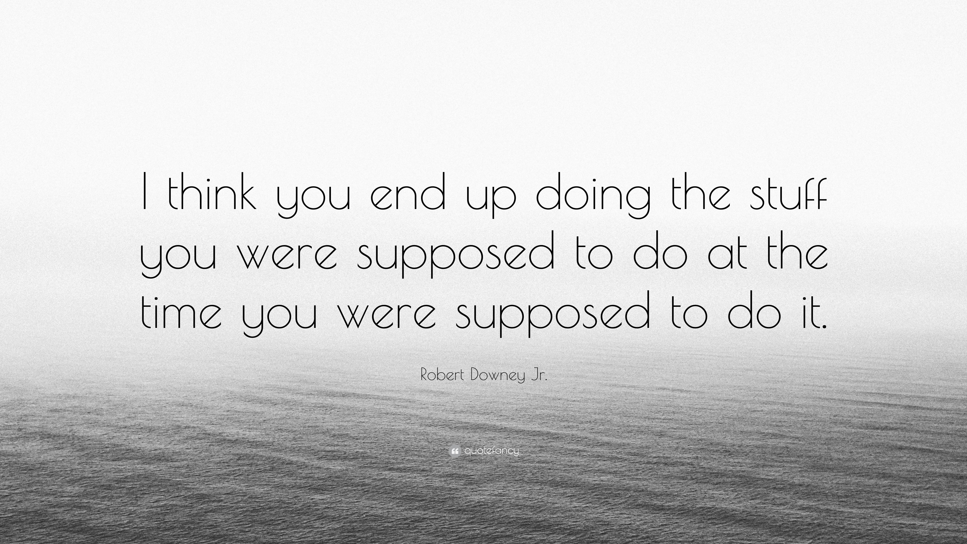 Robert Downey Jr. Quote “I think you end up doing the stuff you were