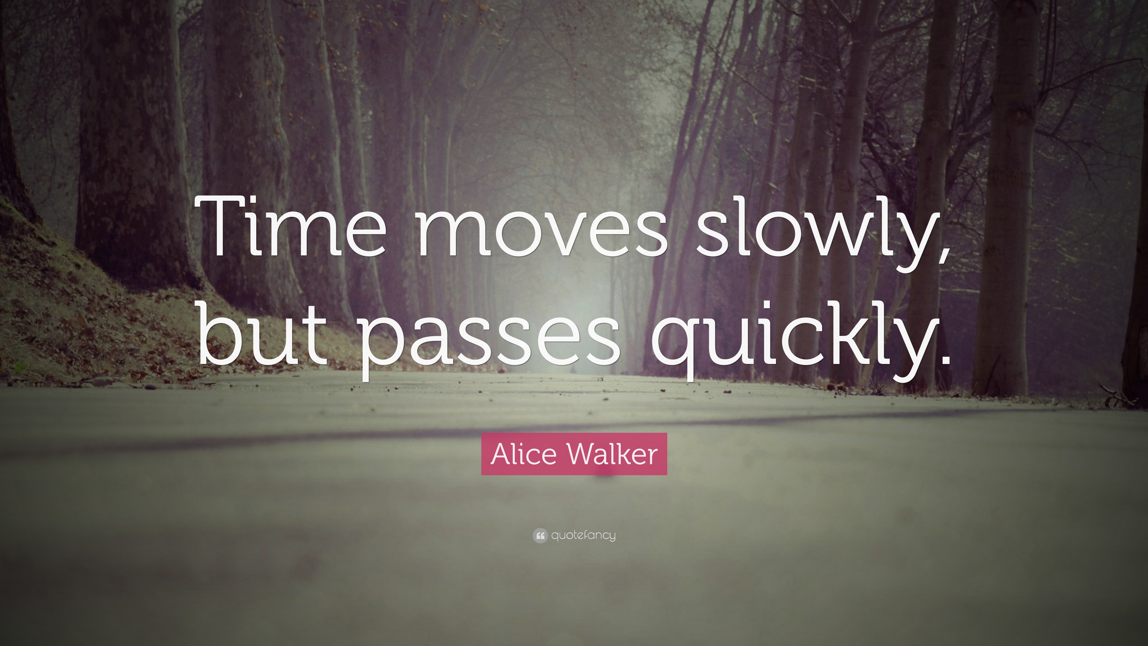 alice-walker-quote-time-moves-slowly-but-passes-quickly