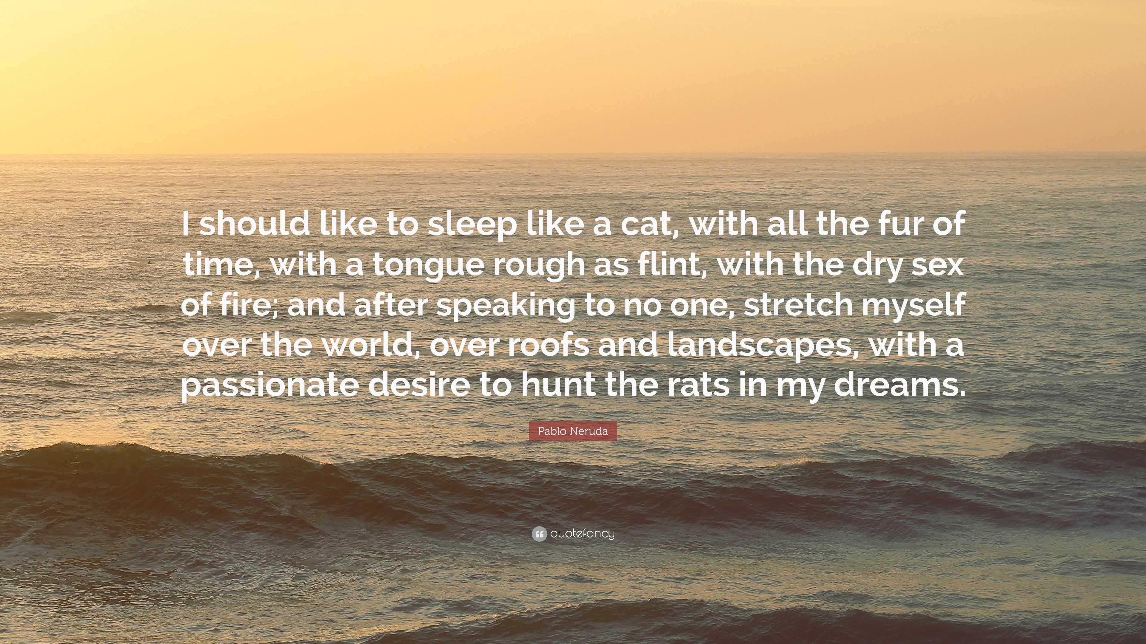 Pablo Neruda Quote: “I should like to sleep like a cat, with all the fur of  time, with a tongue rough as flint, with the dry sex of fire; and...”