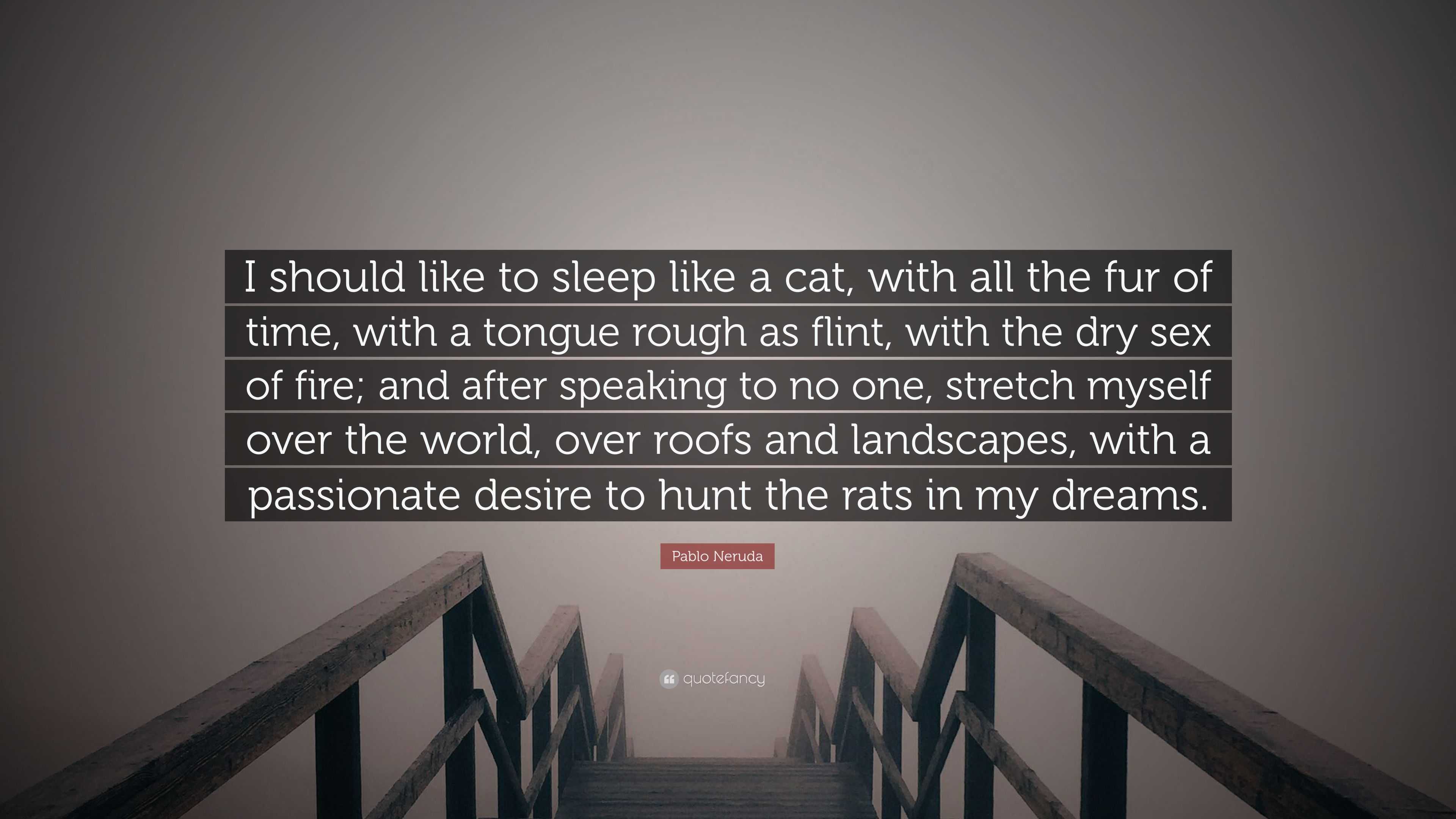 Pablo Neruda Quote: “I should like to sleep like a cat, with all the fur of  time, with a tongue rough as flint, with the dry sex of fire; and...”