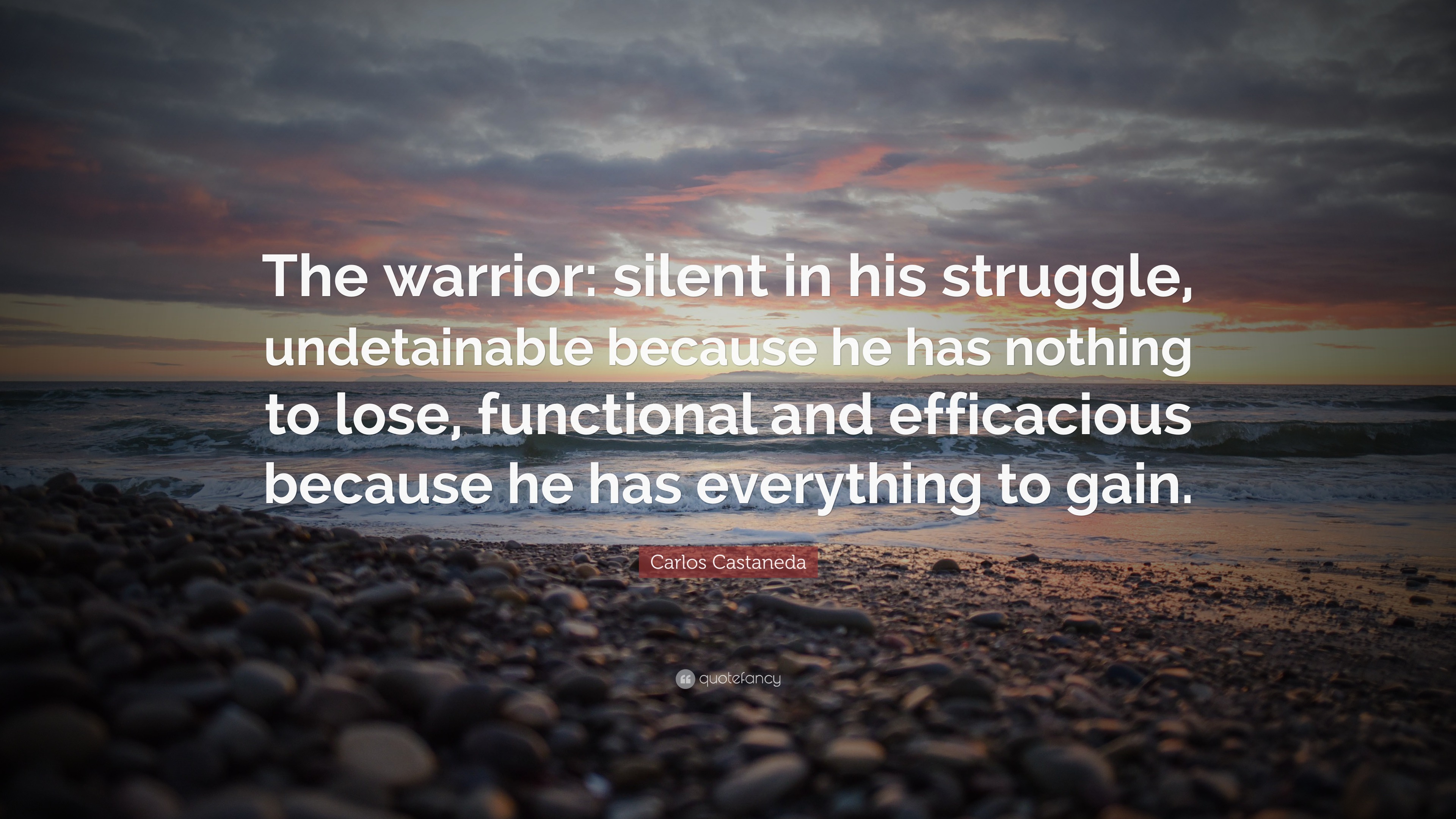 Carlos Castaneda Quote: “The Warrior: Silent In His Struggle ...