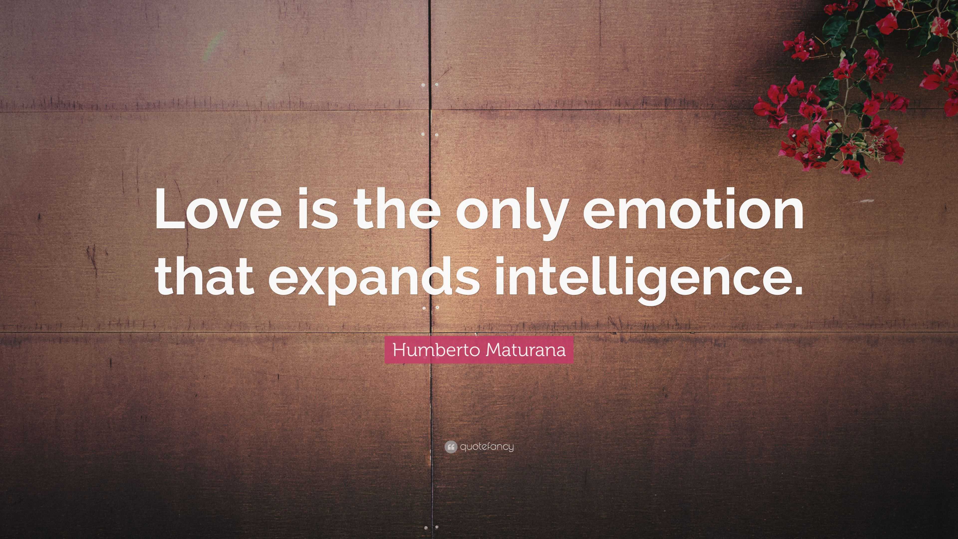 Humberto Maturana Quote: “Love is the only emotion that expands  intelligence.”, image size:3840x2160