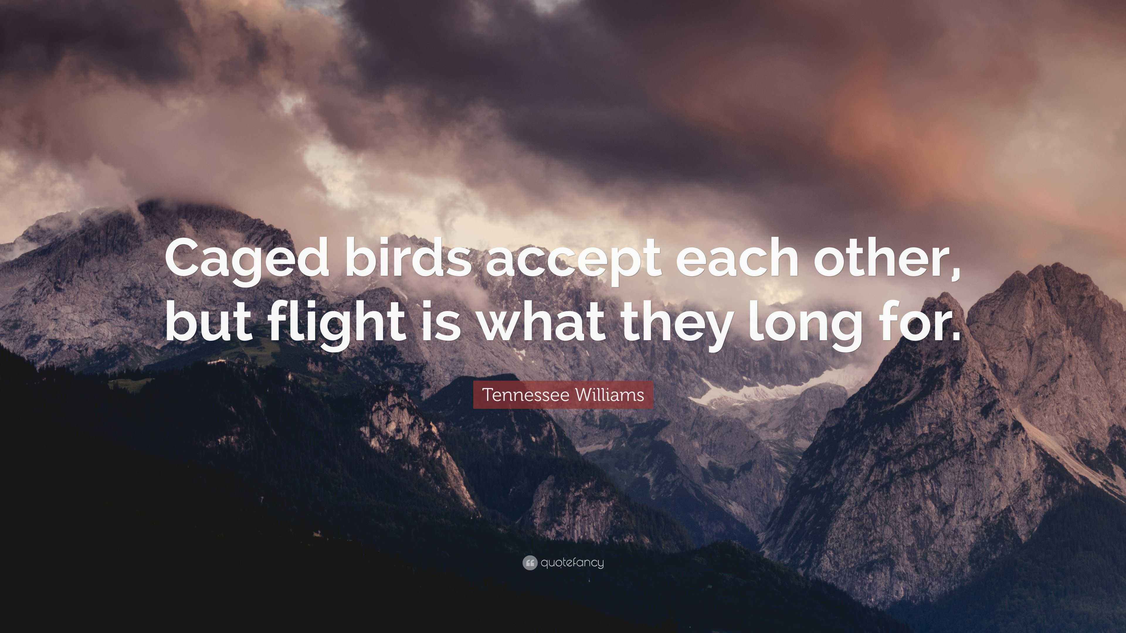 Tennessee Williams Quote “Caged birds accept each other, but flight is