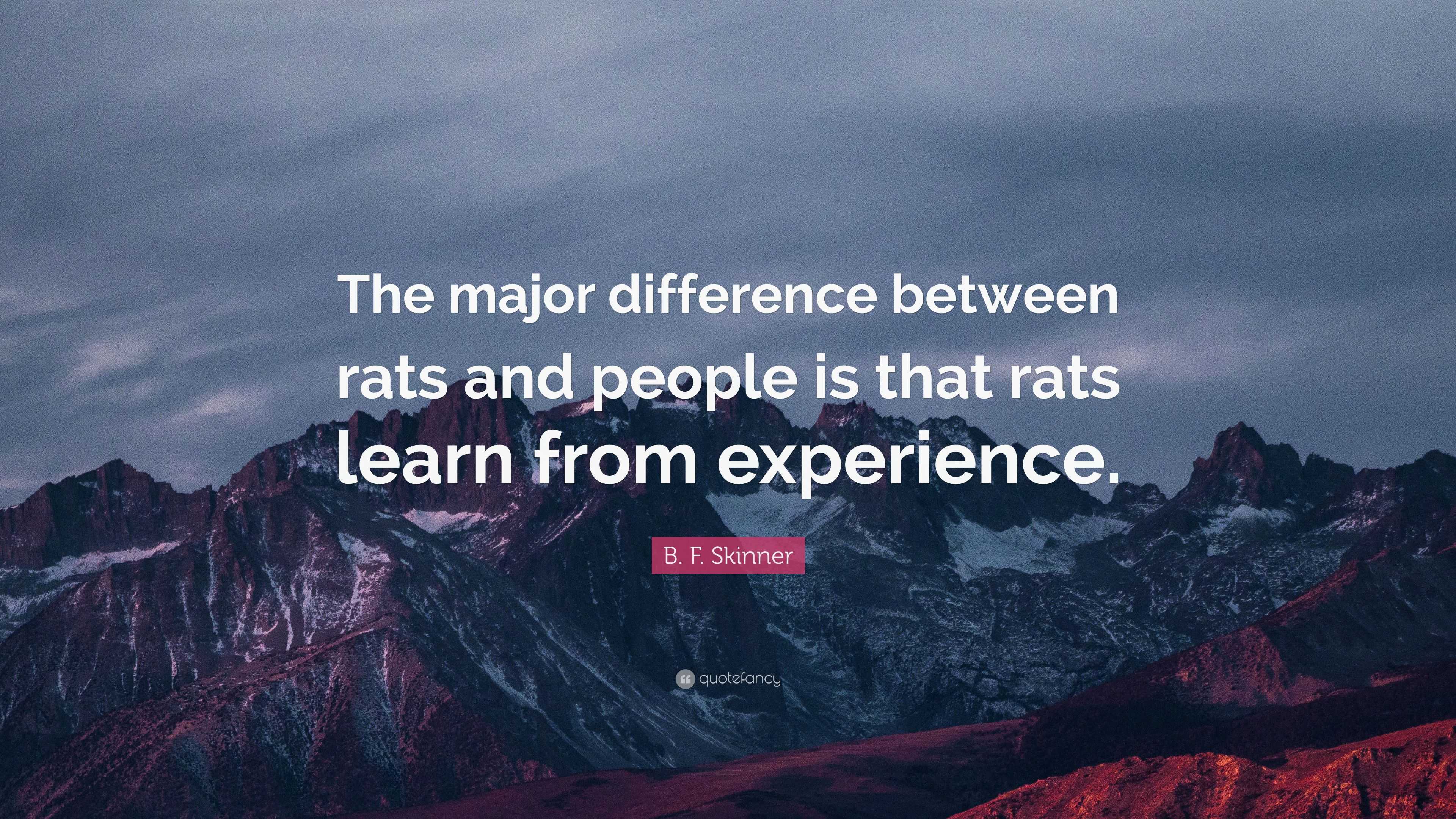 B. F. Skinner Quote “The major difference between rats and people is