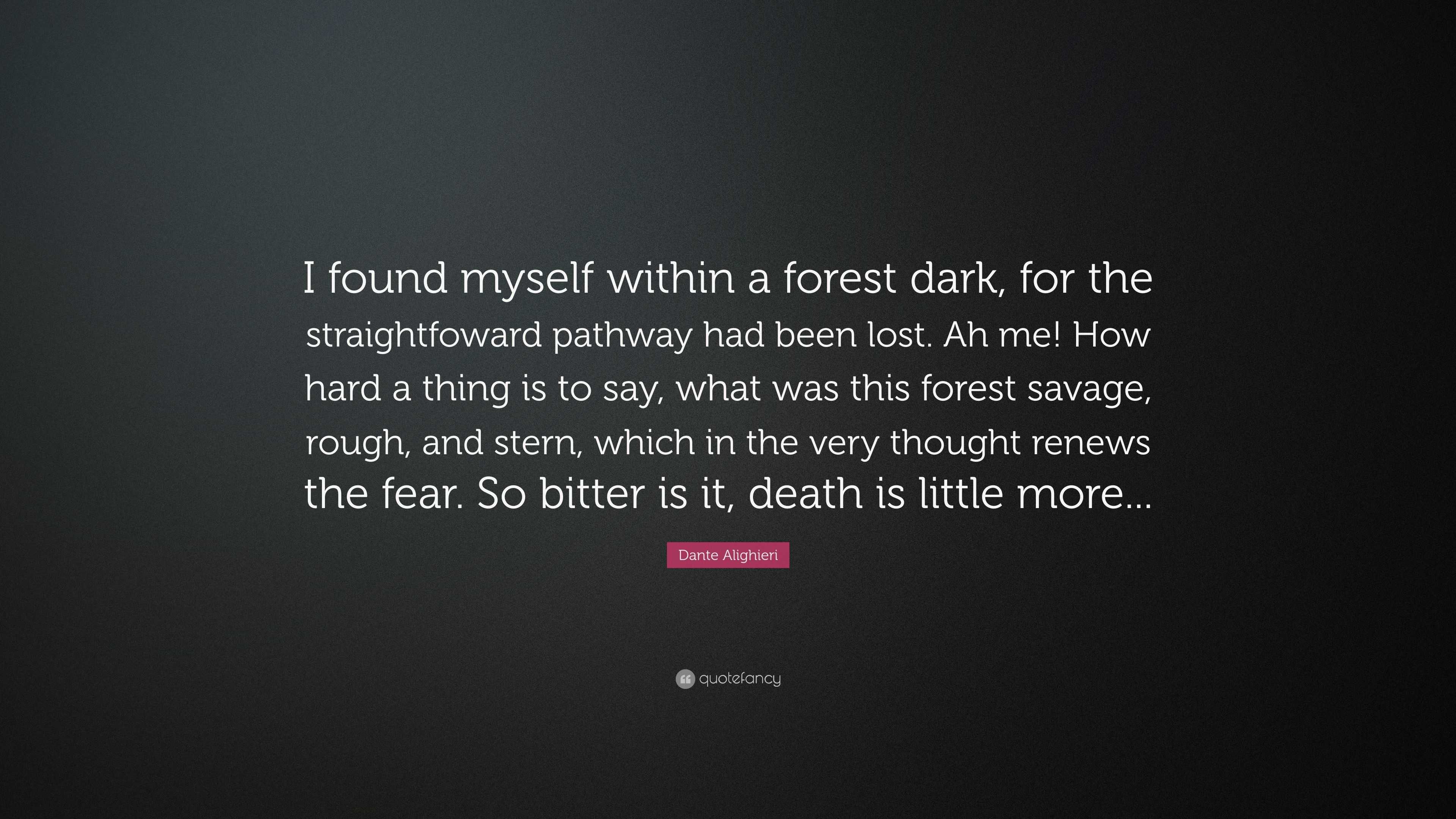 Dante Alighieri Quote: “I found myself within a forest dark, for the ...