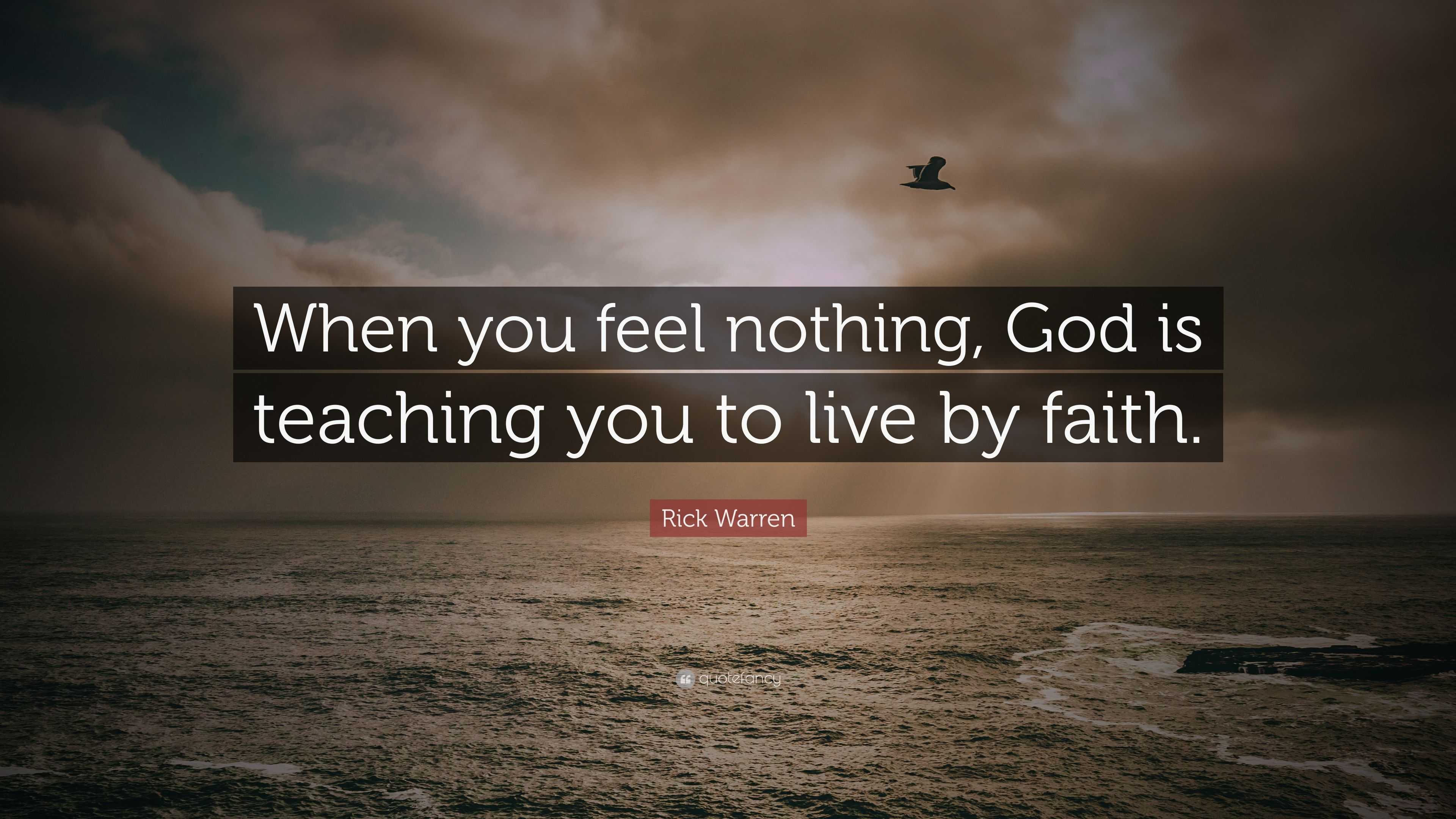 Rick Warren Quote: “when You Feel Nothing, God Is Teaching You To Live 