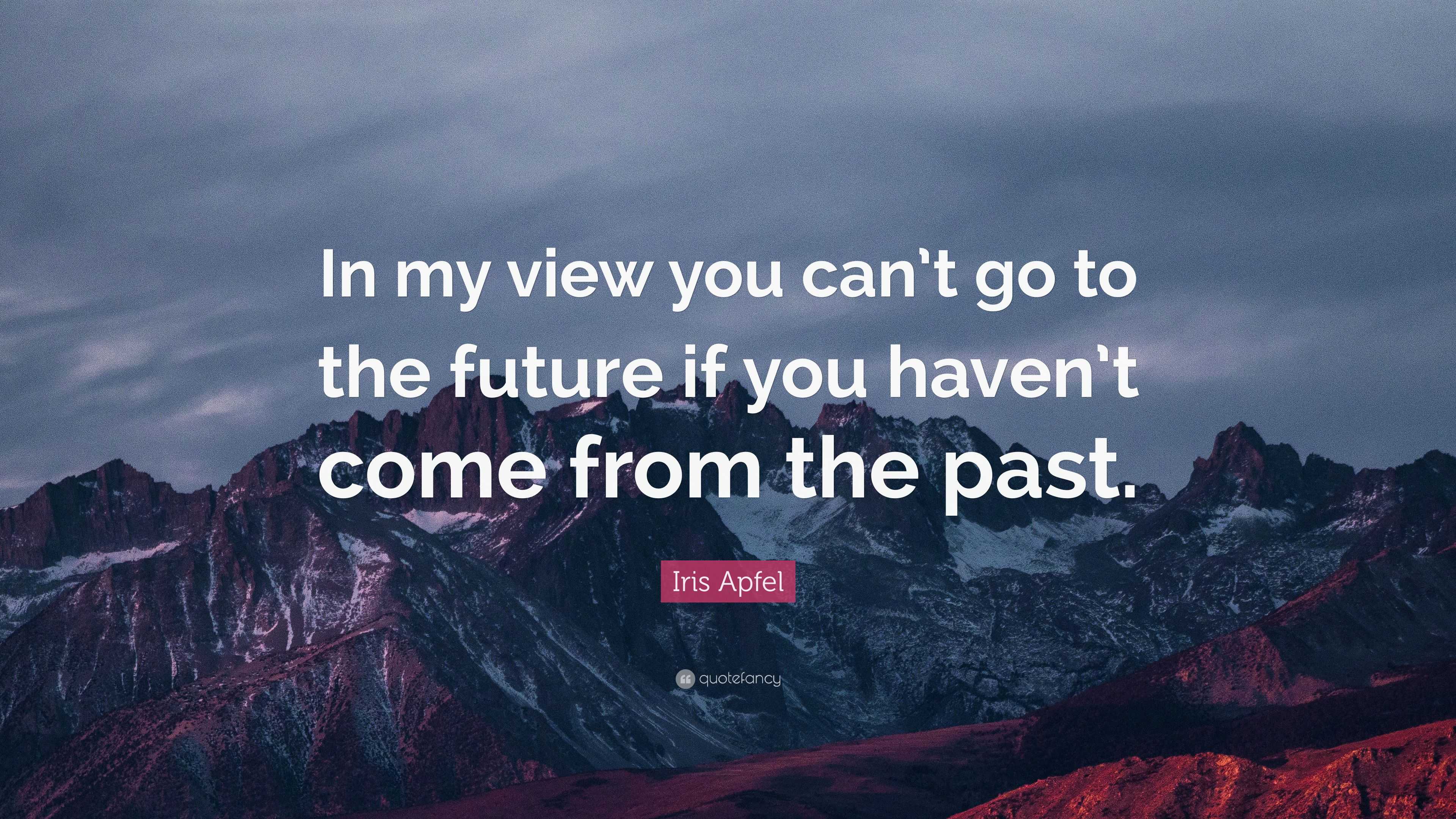 Iris Apfel Quote: “In my view you can’t go to the future if you haven’t ...