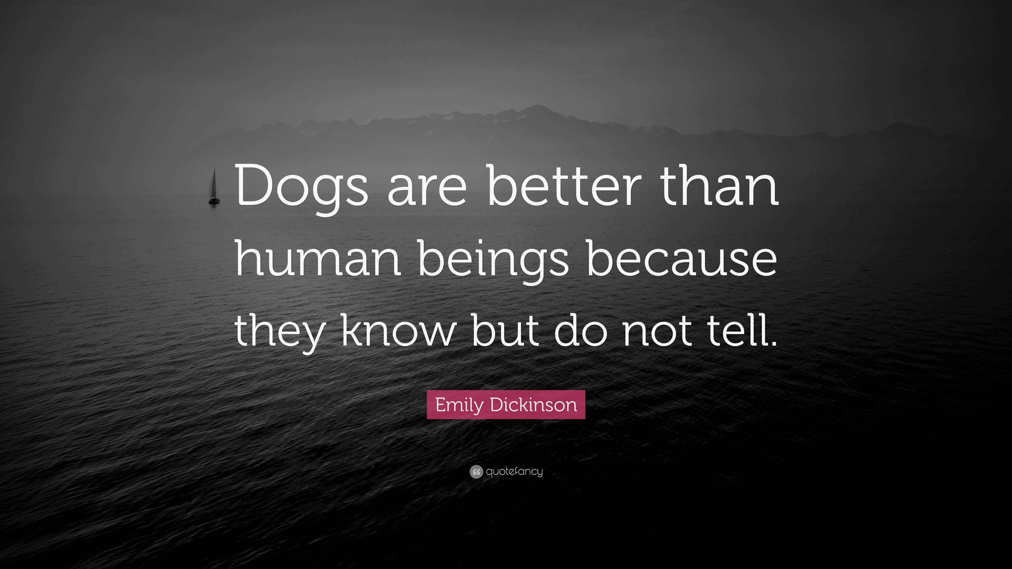 Emily Dickinson Quote “Dogs are better than human beings because they