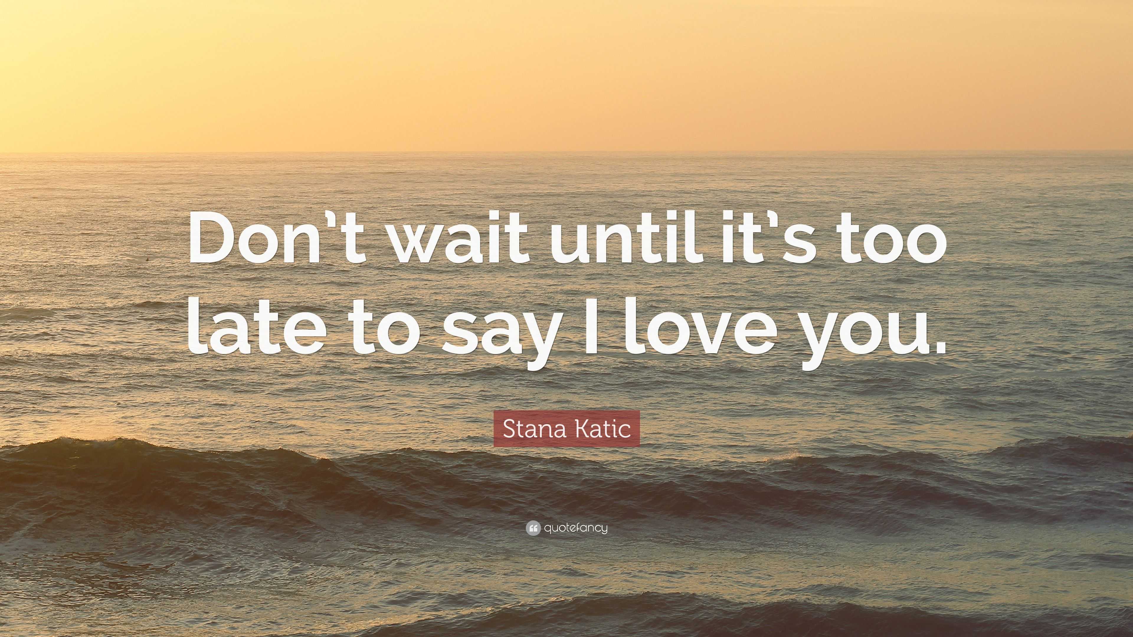 Stana Katic Quote “Don t wait until it s too late to say I