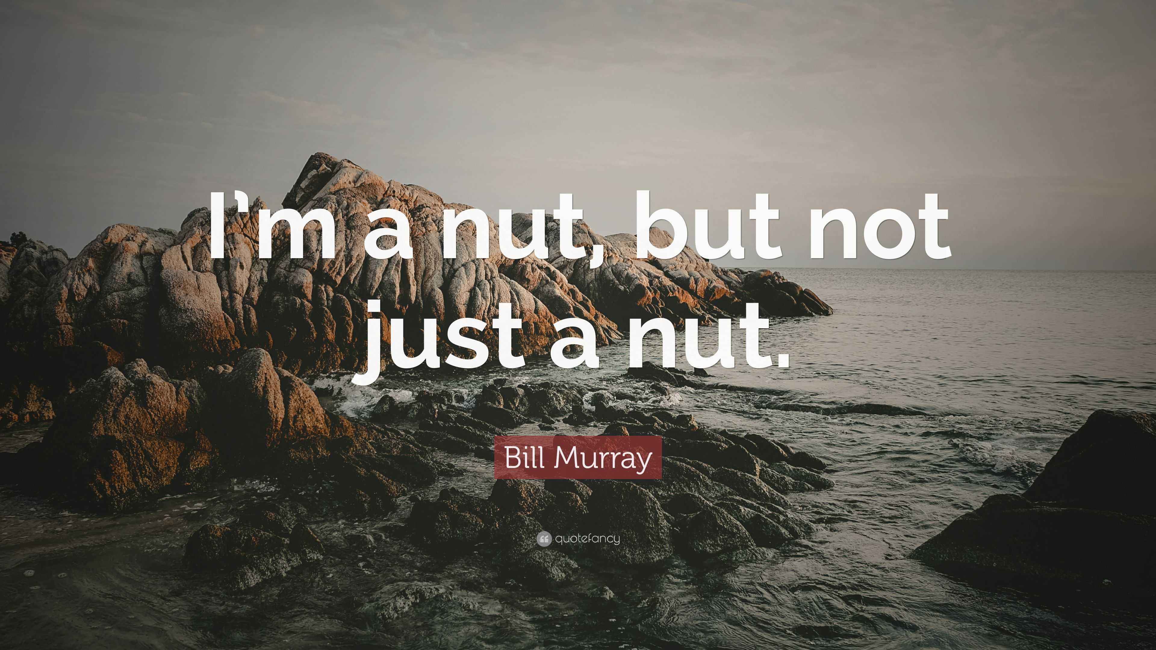 Bill Murray Quote “I’m a nut, but not just a nut.”