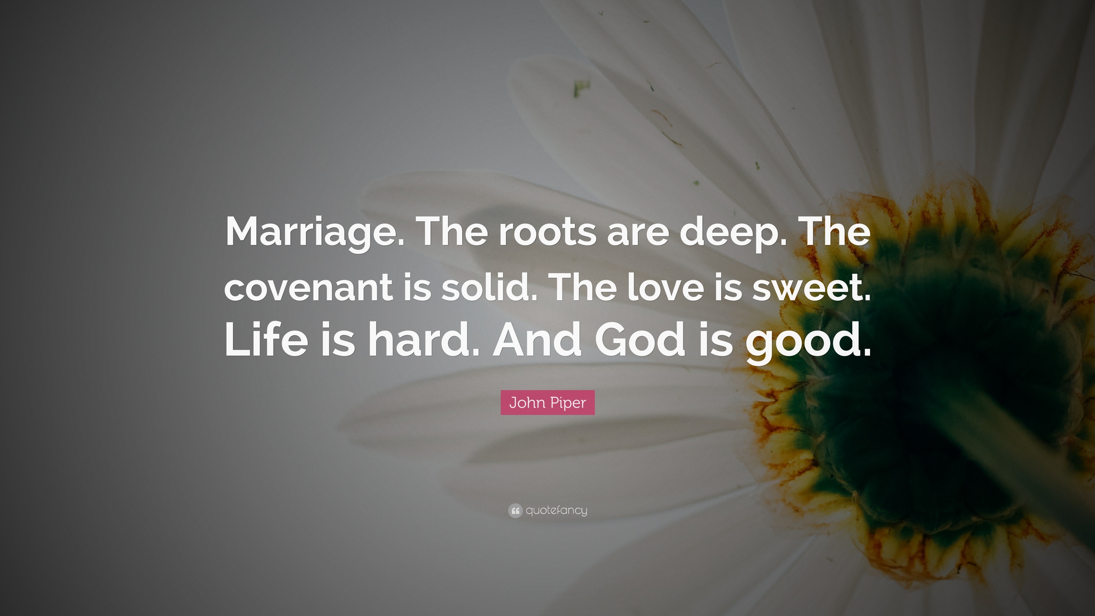 John Piper Quote “Marriage The roots are deep The covenant is solid