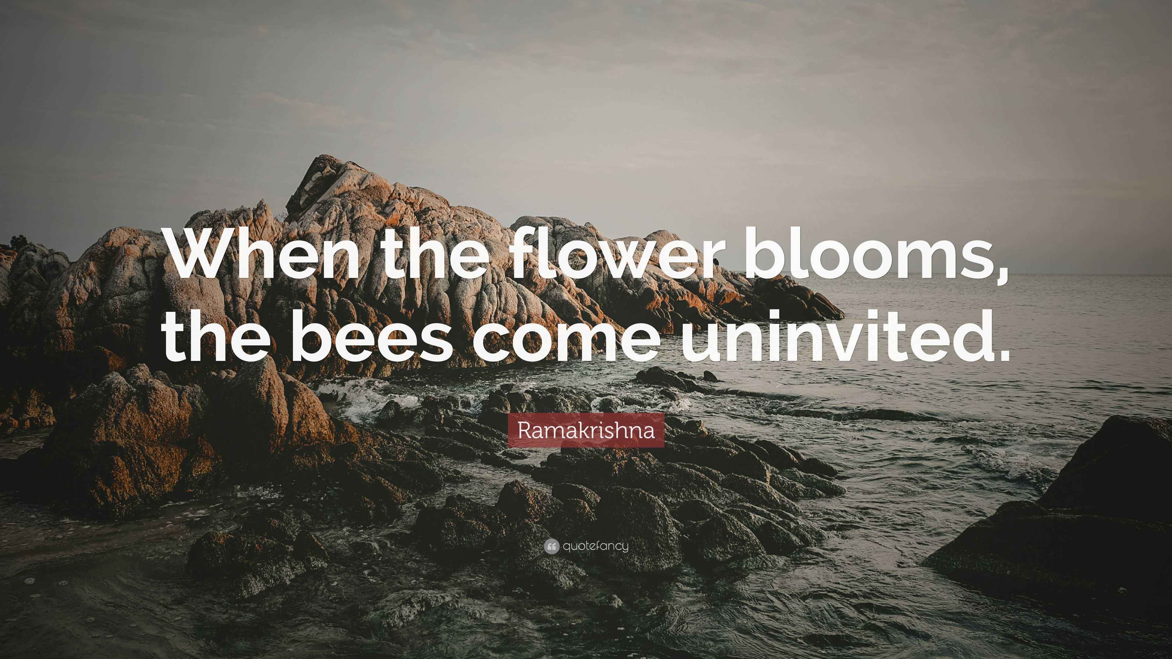 Ramakrishna Quote “When the flower blooms, the bees come uninvited.”