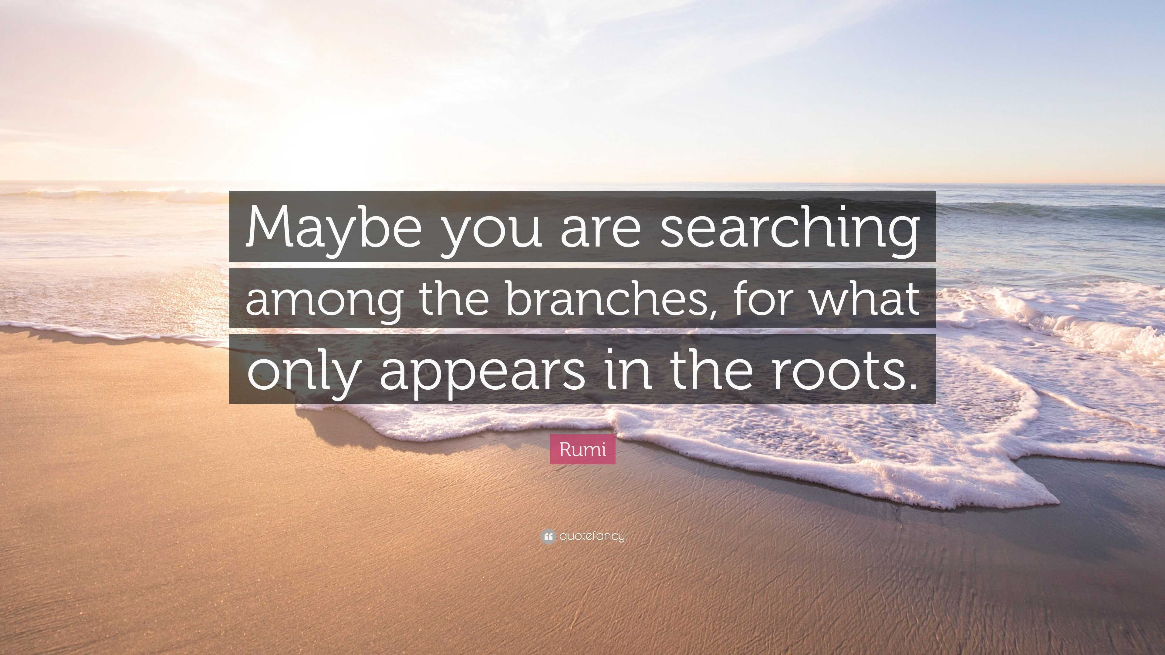 Rumi Quote “Maybe you are searching among the branches, for what only appears in the roots.”