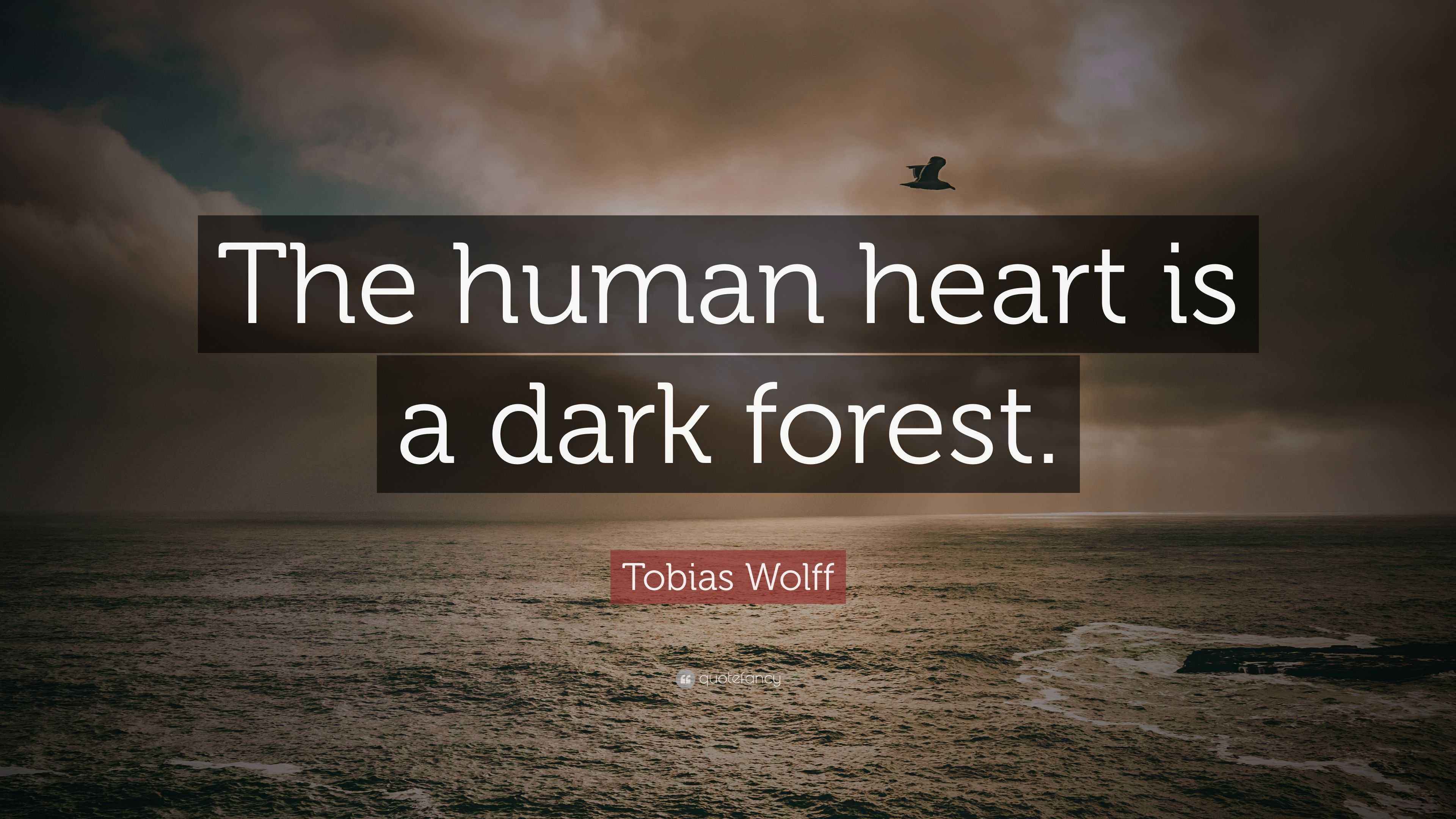 Tobias Wolff Quote: “The human heart is a dark forest.”