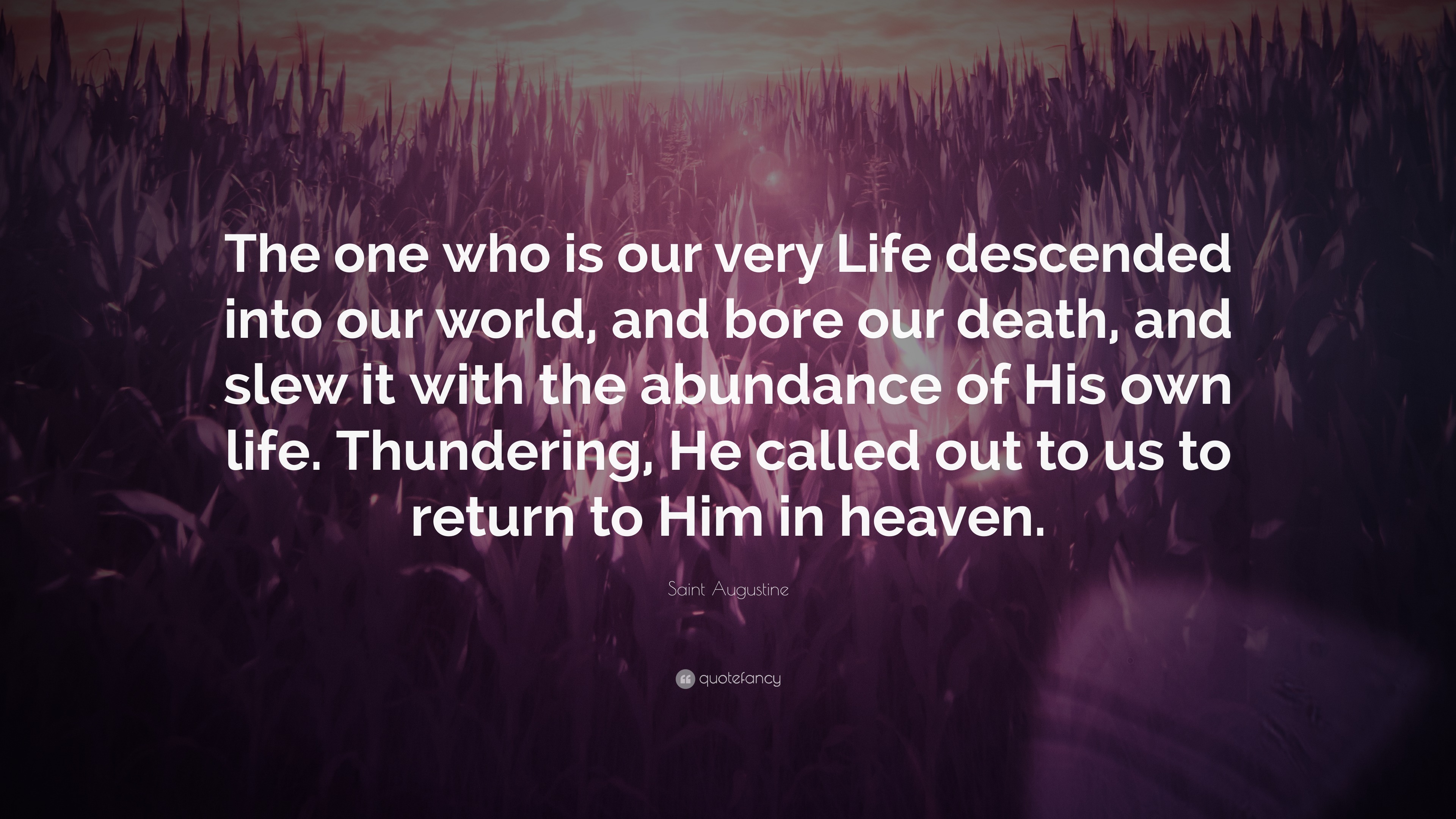 Saint Augustine Quote: “The one who is our very Life descended into our