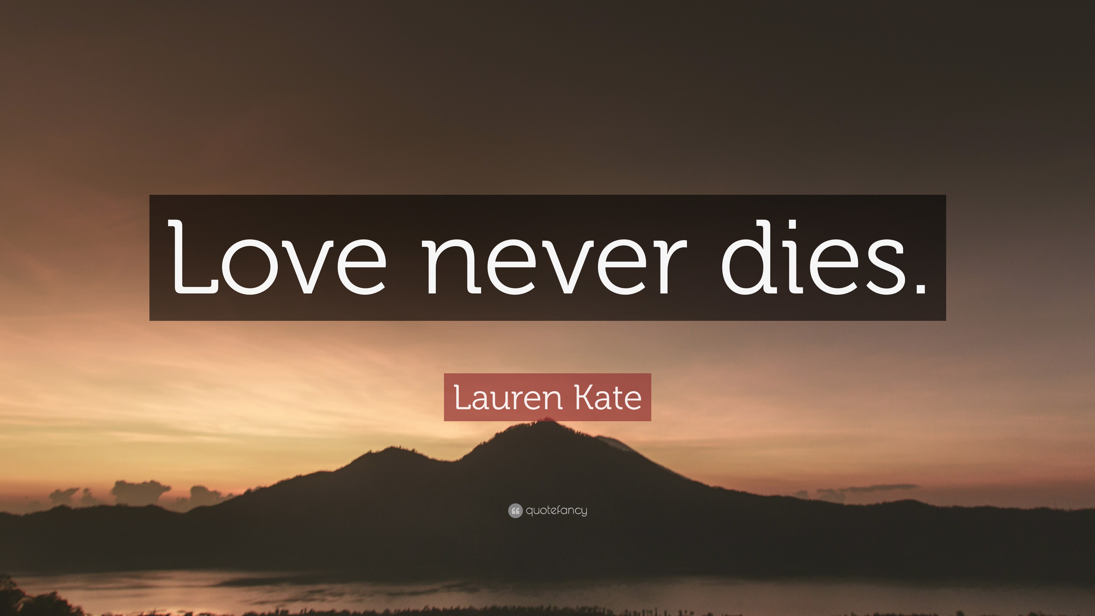 Lauren Kate Quote “Love never s ”