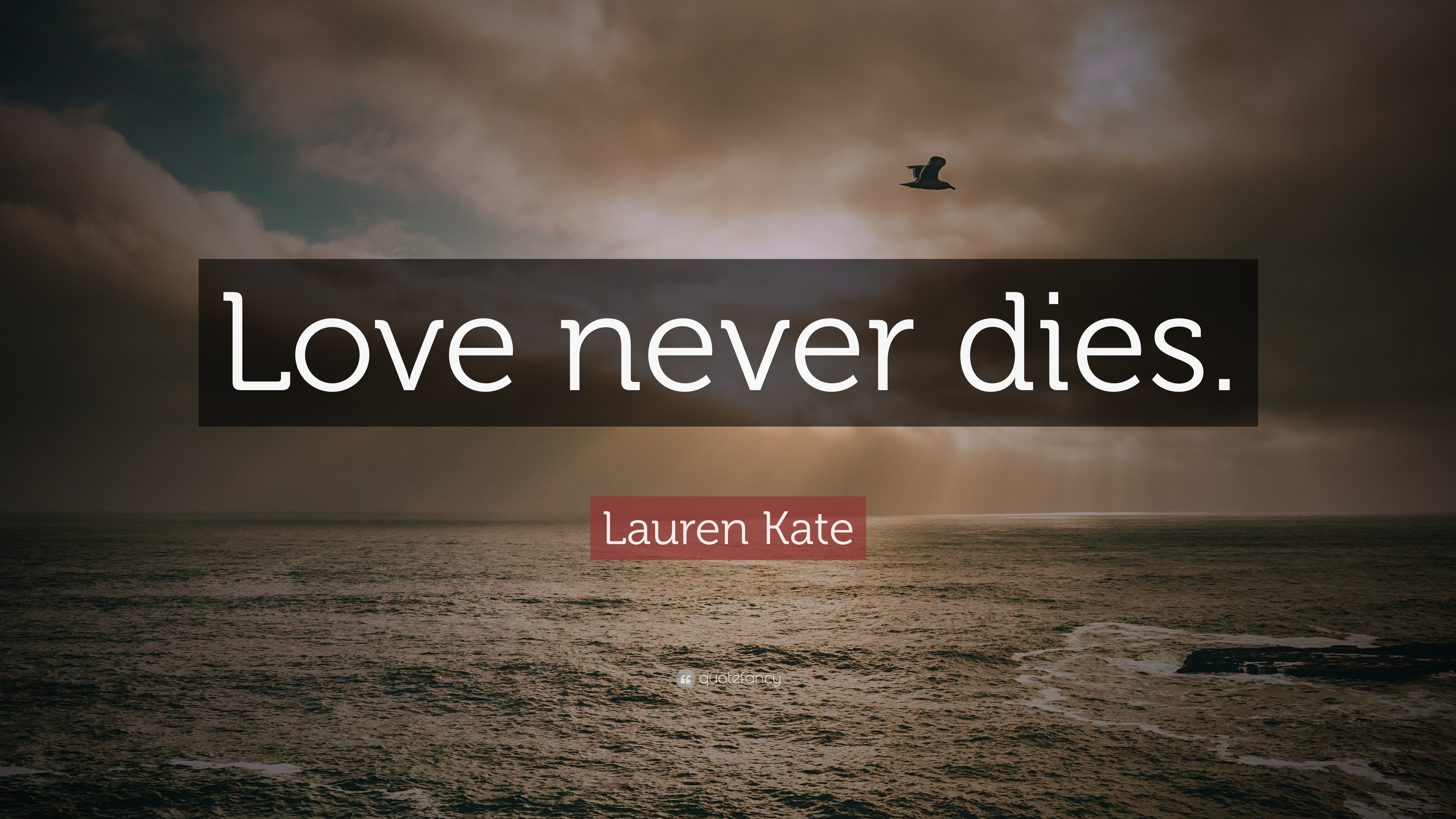 Lauren Kate Quote “love Never Dies” 0596