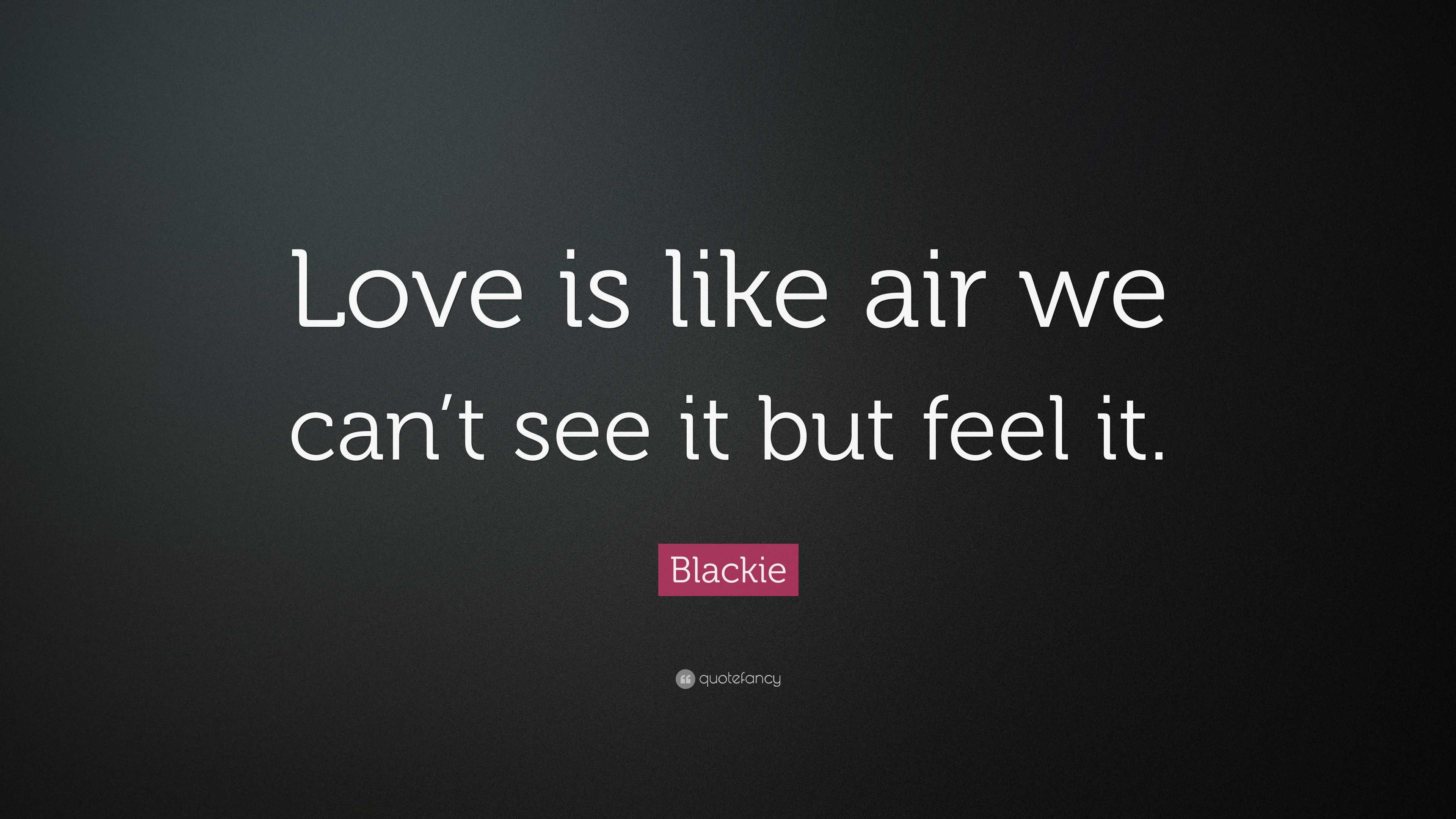 Blackie Quote “Love is like air we can t see it but feel