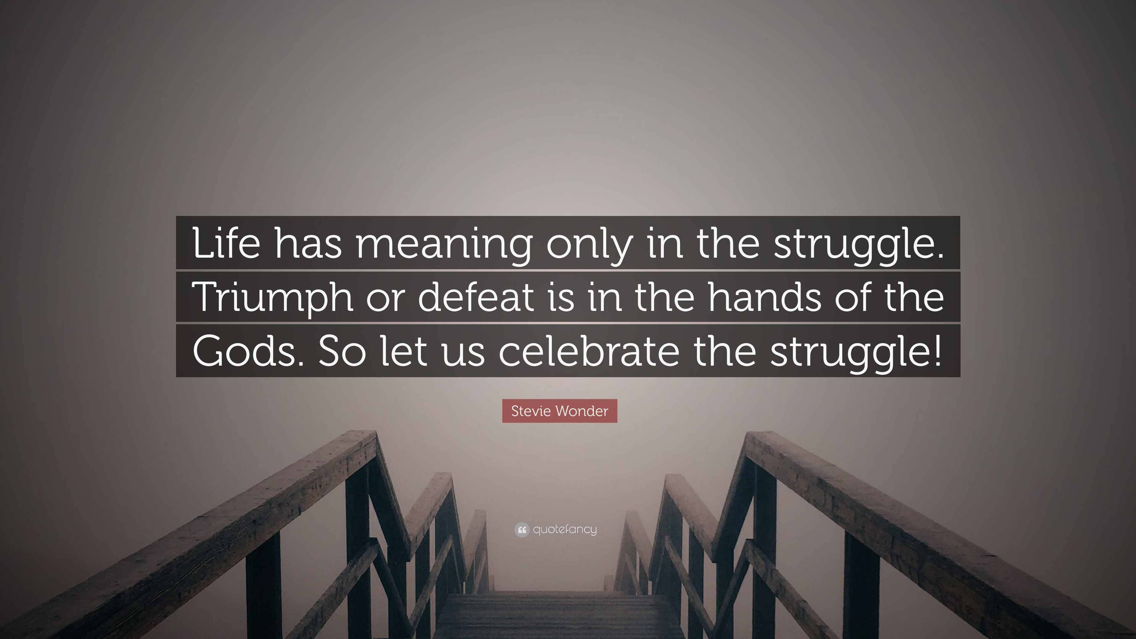 Stevie Wonder Quote “Life has meaning only in the struggle Triumph or defeat