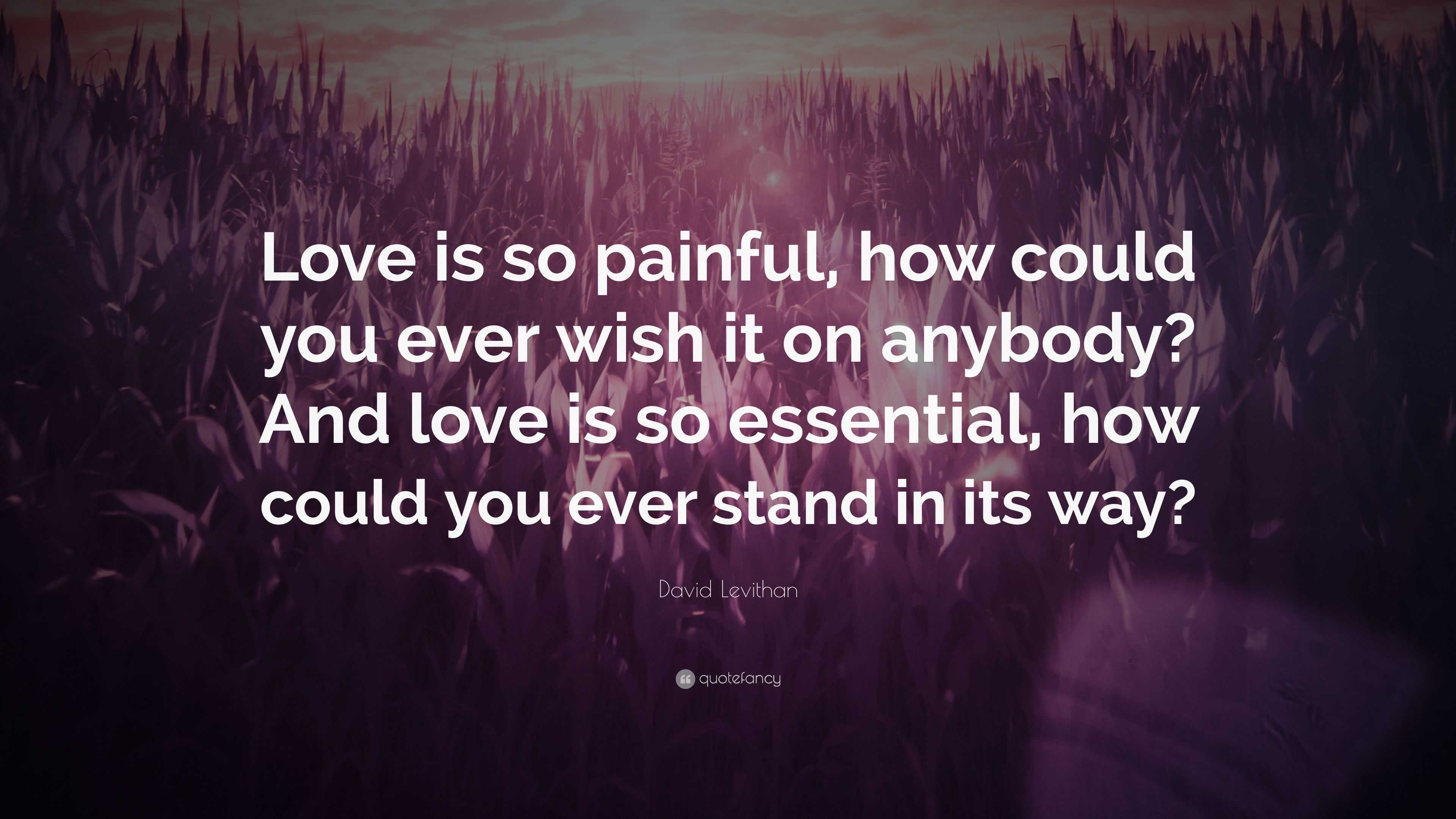 David Levithan Quote: “Love is so painful, how could you ever wish it ...