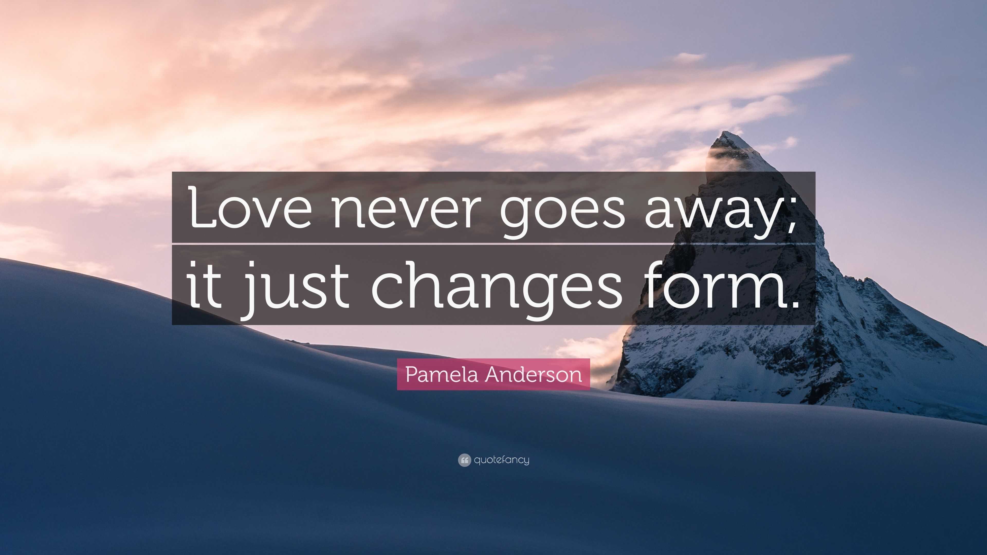 Pamela Anderson Quote “Love never goes away it just changes form ”